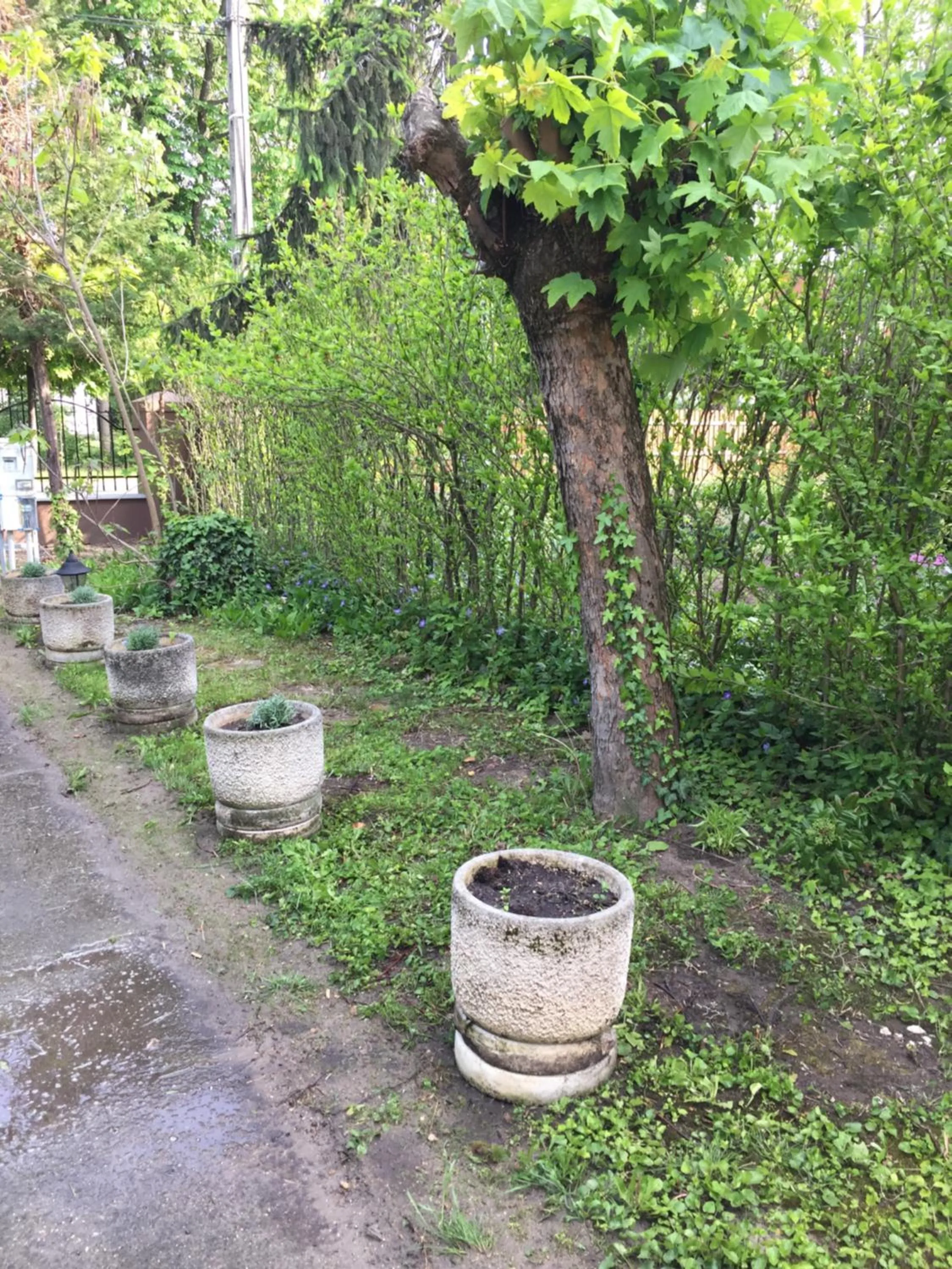 Pálma Apartmanház Siófok