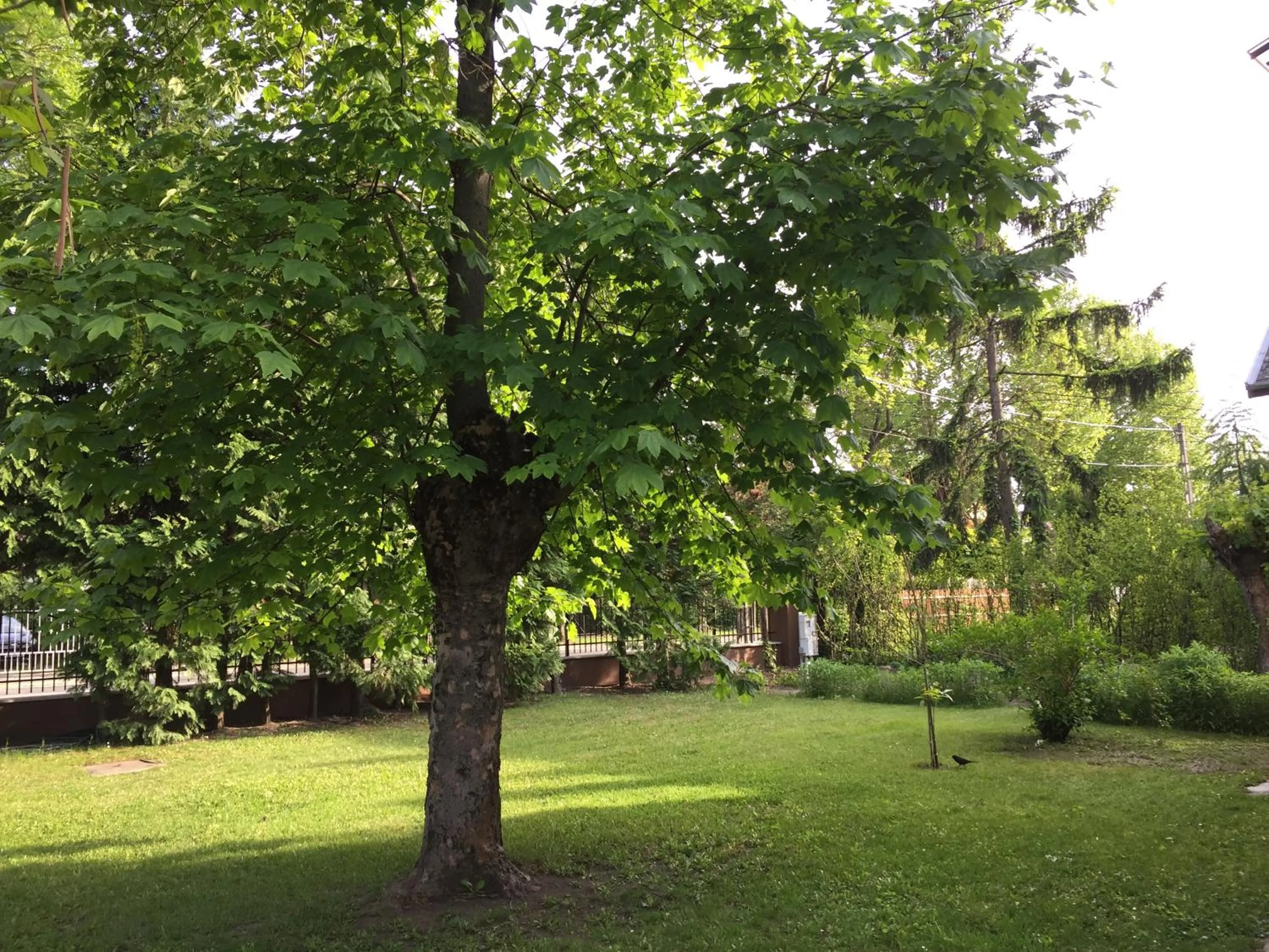 Pálma Apartmanház Siófok