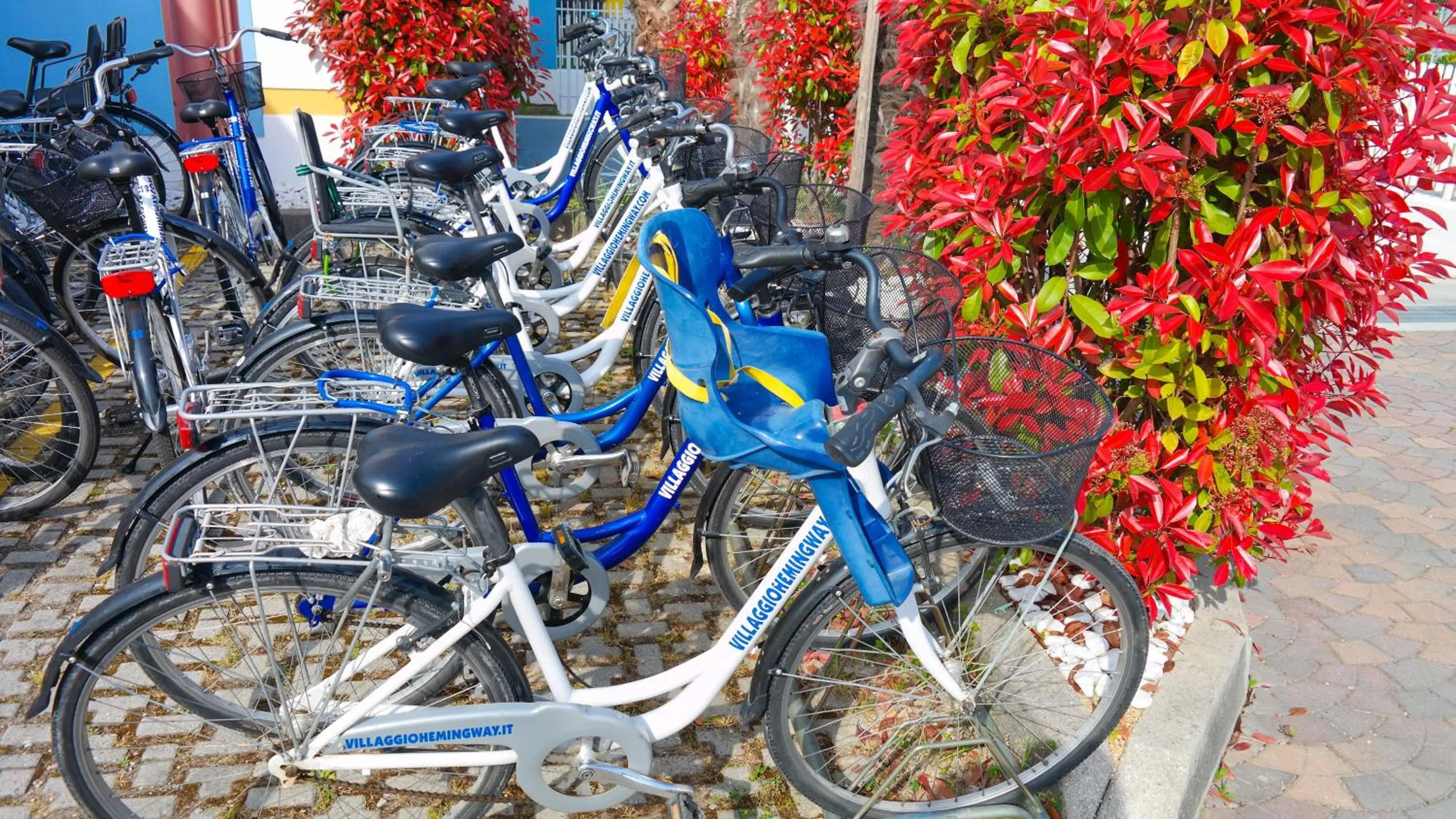 Cycling in Villaggio Hemingway - Family Aparthotel