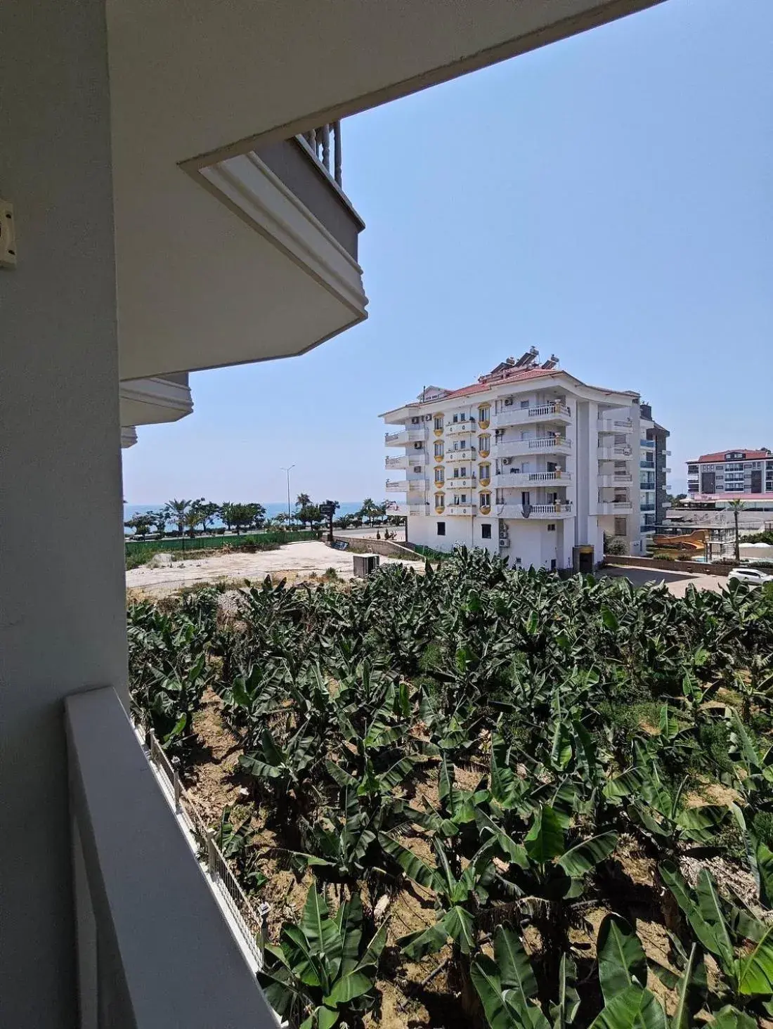 View (from property/room) in Sey Beach Hotel & Spa View (from property/room) in Sey Beach Hotel & Spa