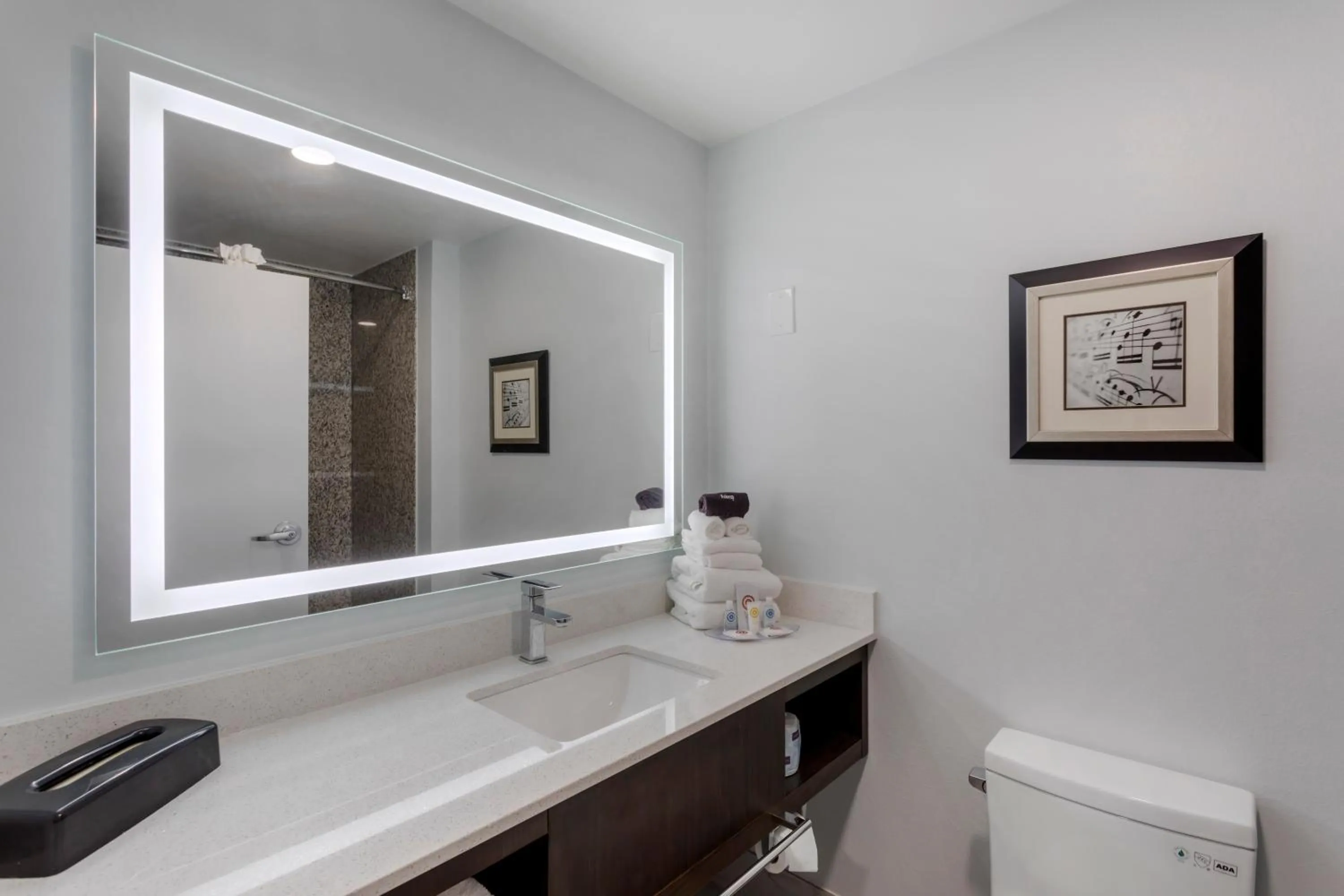 Toilet in Comfort Suites Mt Juliet-Nashville Area