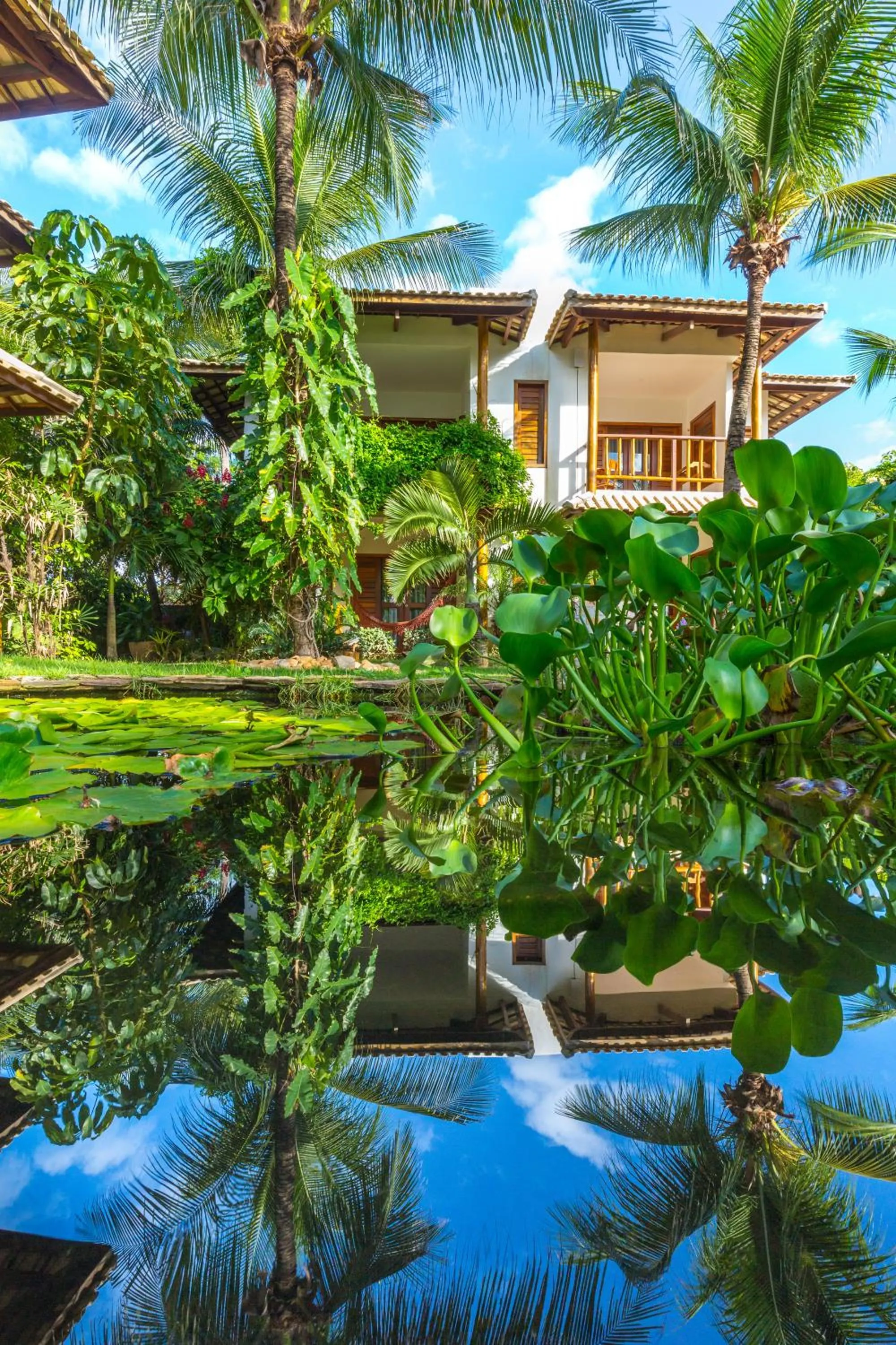 Garden in Vila Coqueiros Boutique Hotel