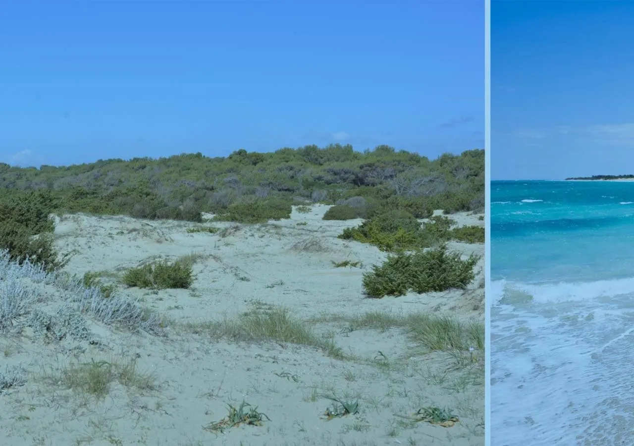 Location, Natural Landscape in Blue And Blue City