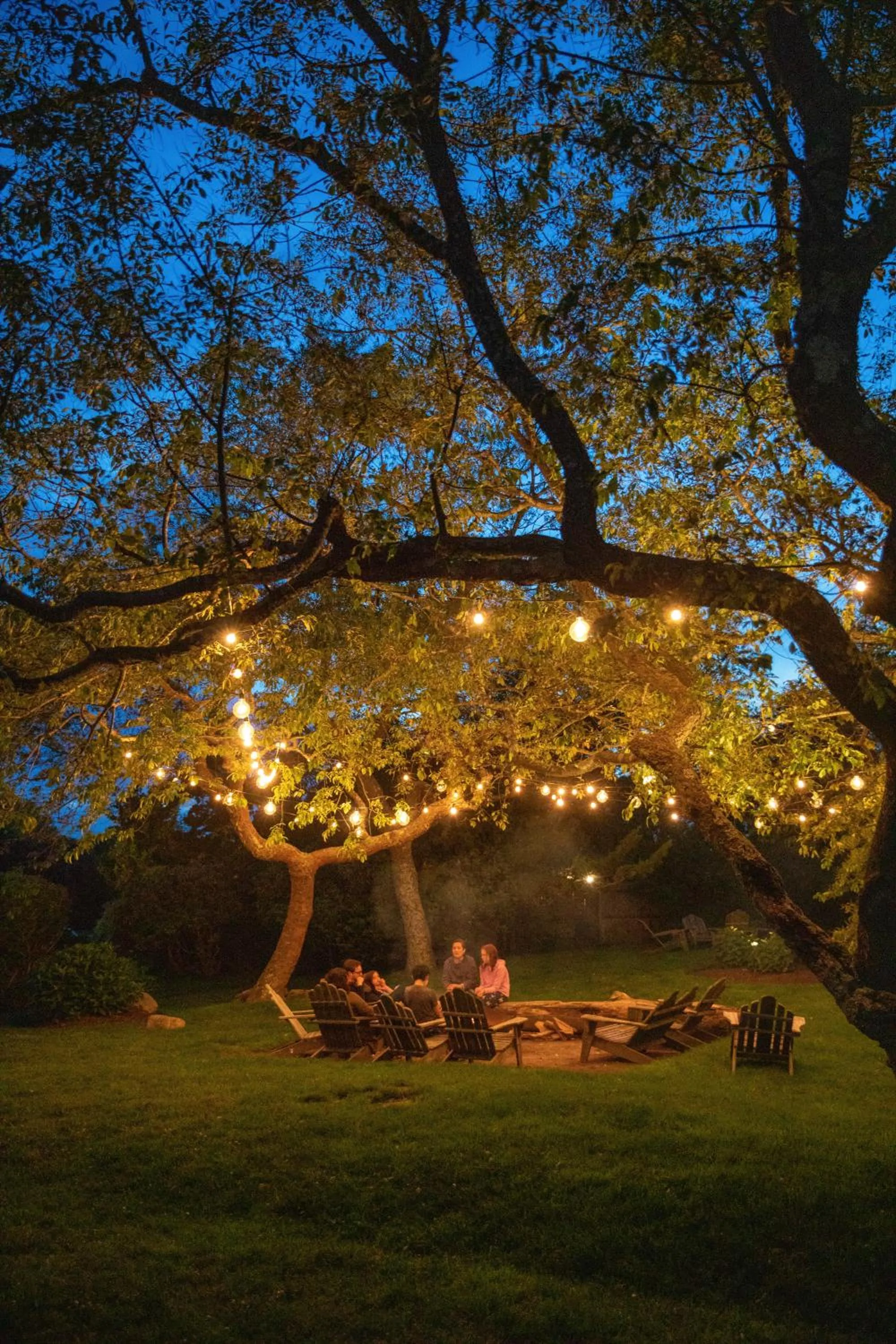 View (from property/room) in Sole East Resort