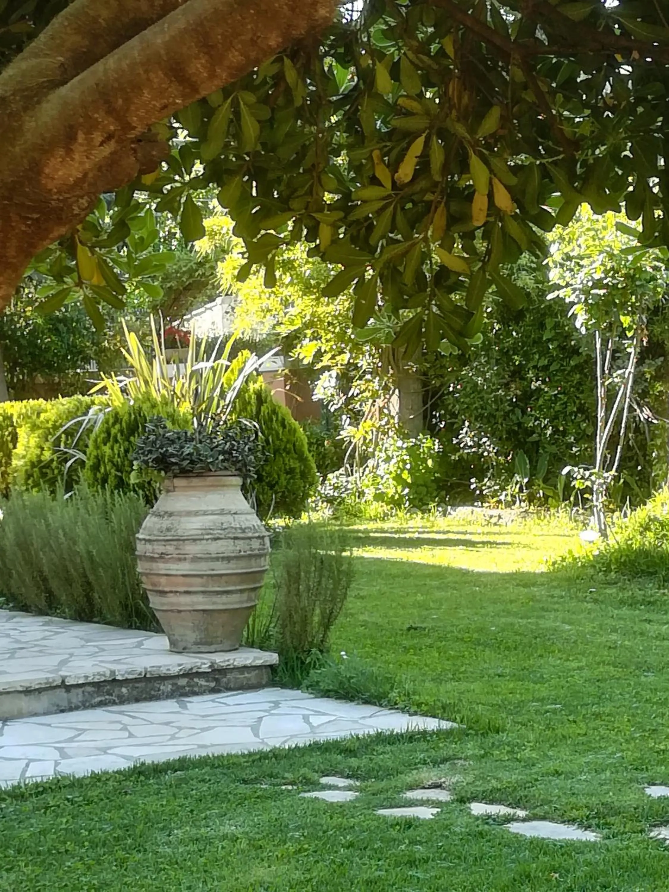 Garden in Kaloudis Studios & Apartments