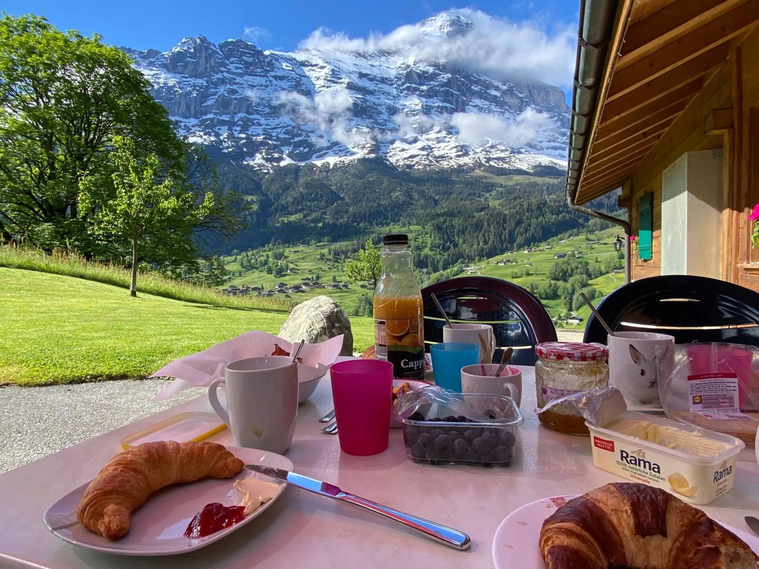 Chalet Herrschaft