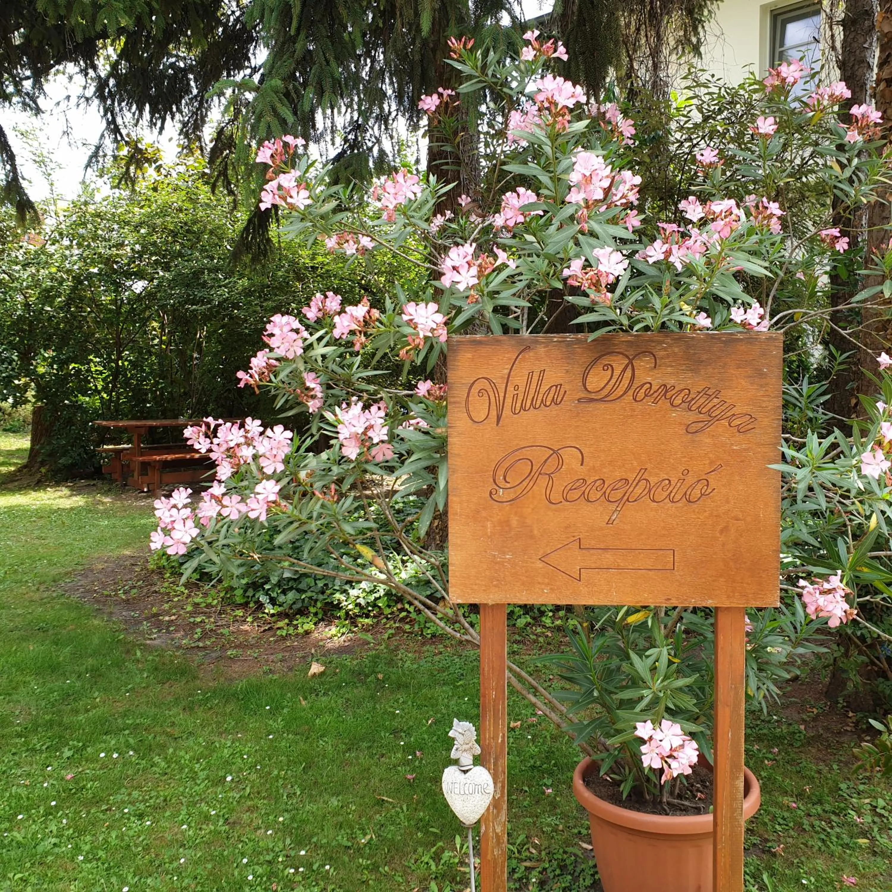 Garden in Villa Dorottya