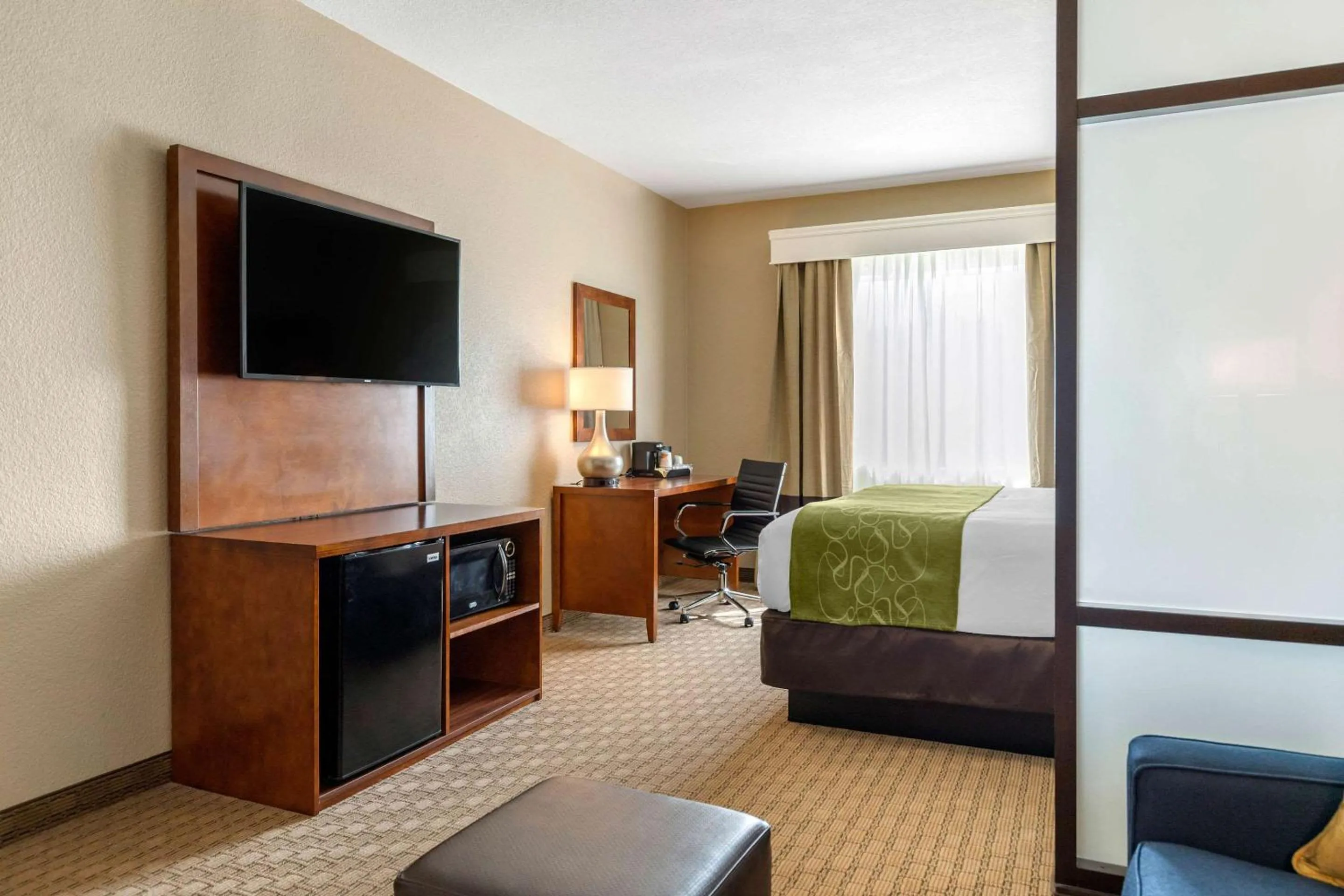 TV and multimedia in Comfort Suites San Antonio Airport North