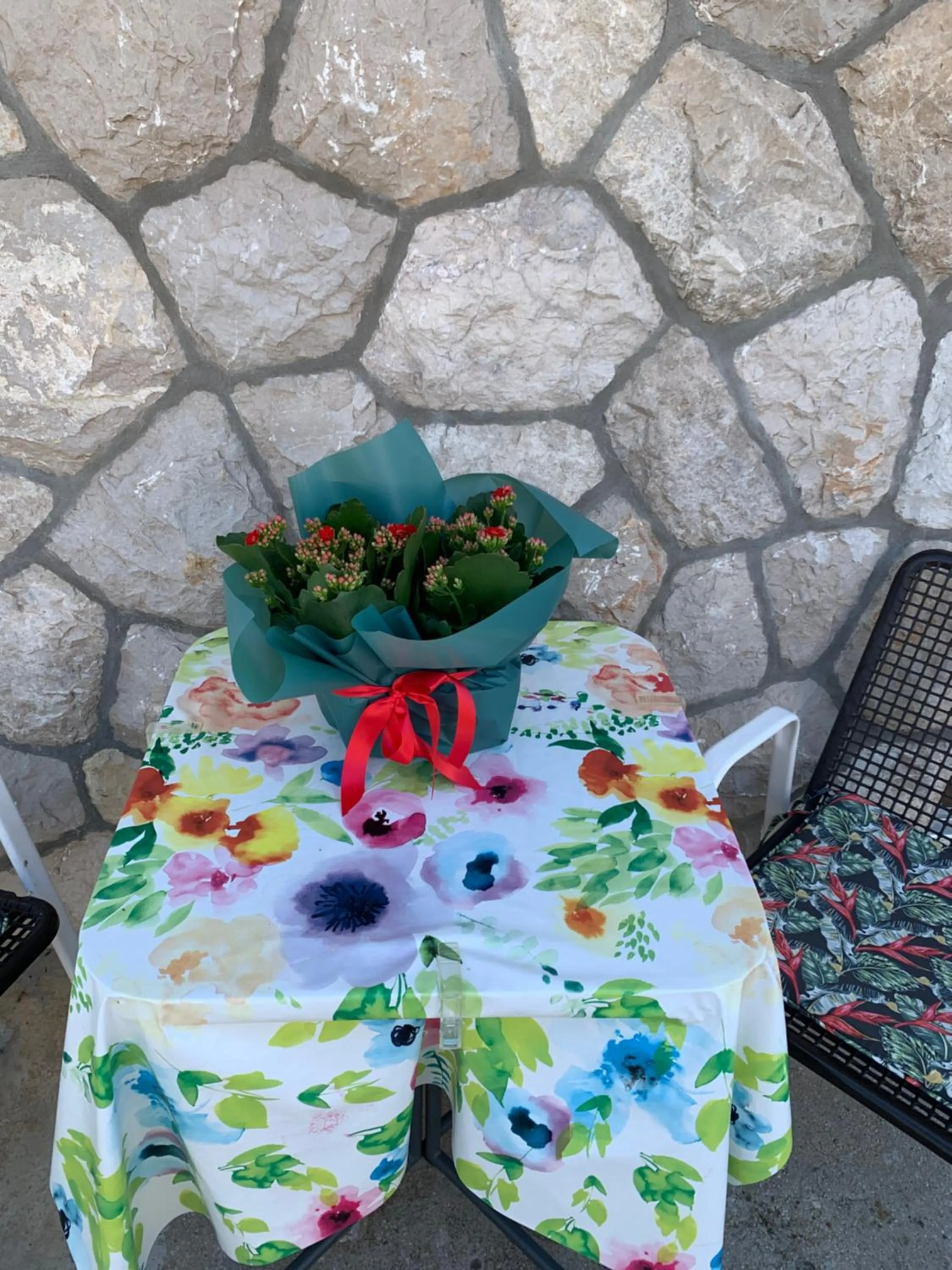 Aida Apartments and Rooms for couples and families FREE PARKING