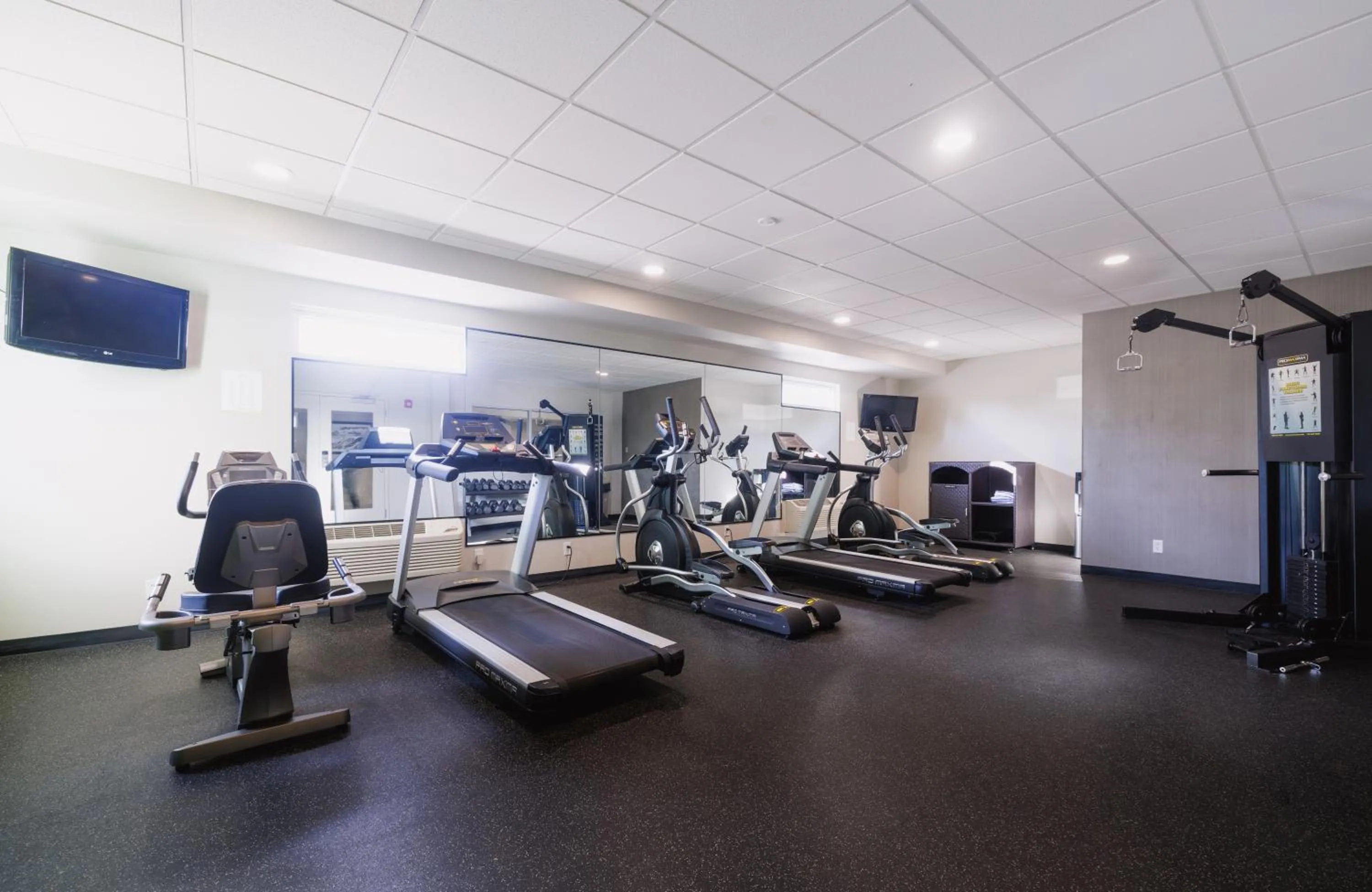 Activities in La Quinta Inn & Suites by Wyndham Fort Collins, Colorado