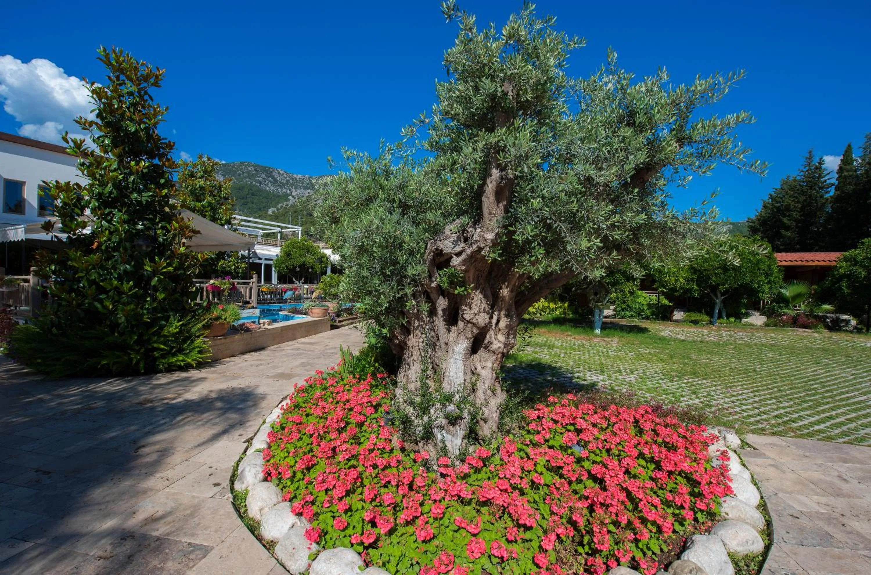 Facade/entrance in Kimera Lounge Boutique Hotel & Spa