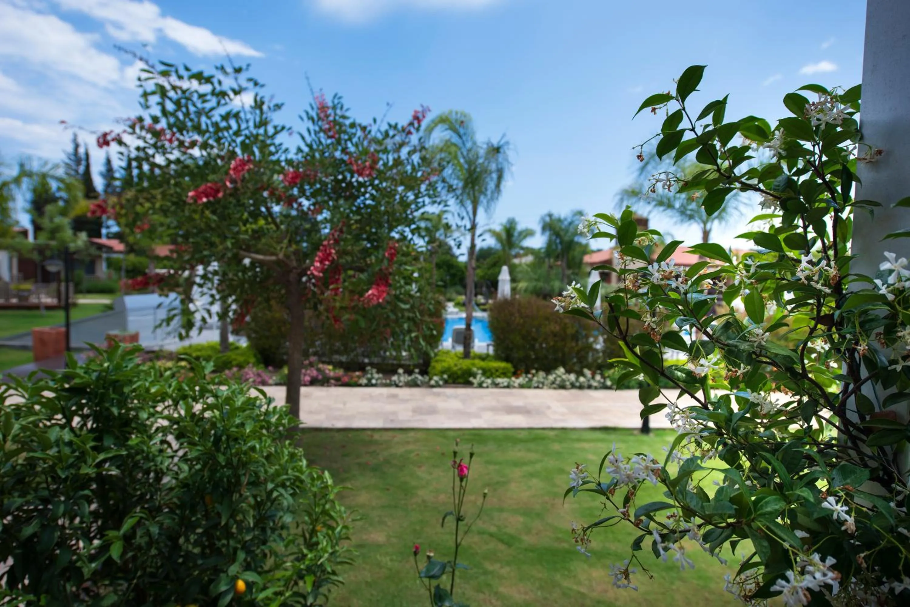 Garden in Kimera Lounge Boutique Hotel & Spa