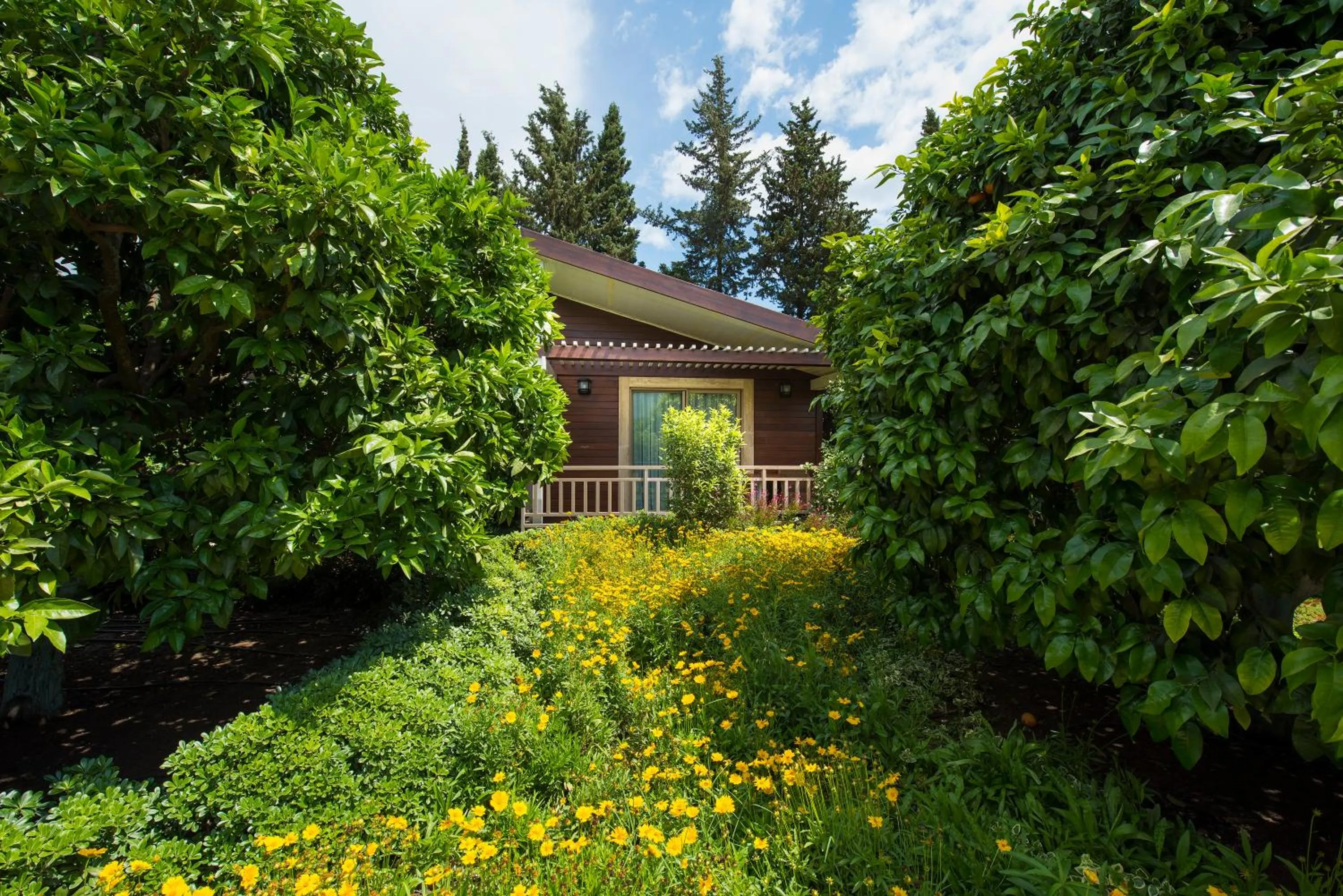 Summer in Kimera Lounge Boutique Hotel & Spa