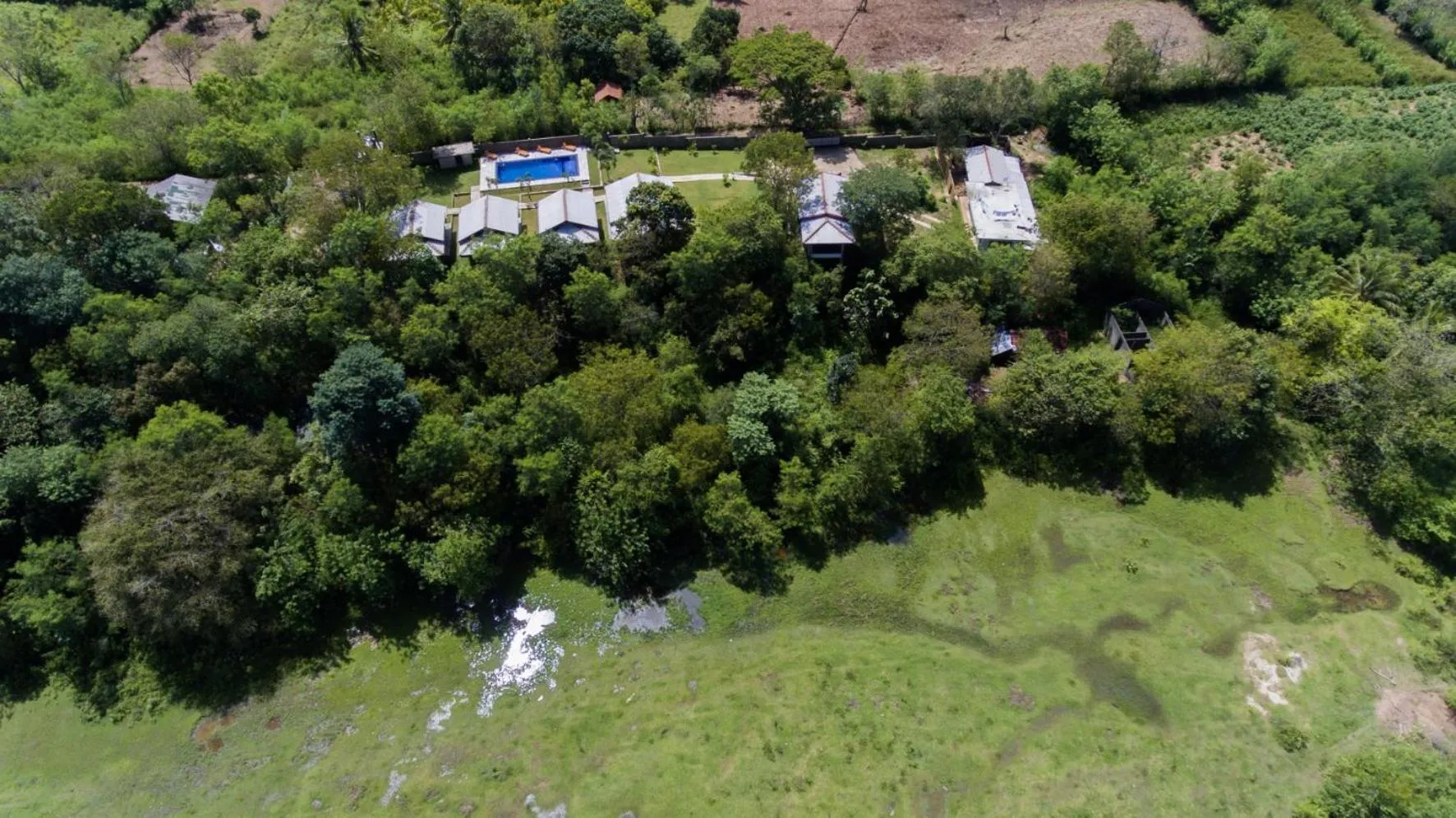 Bird's eye view in Jungle Paradise