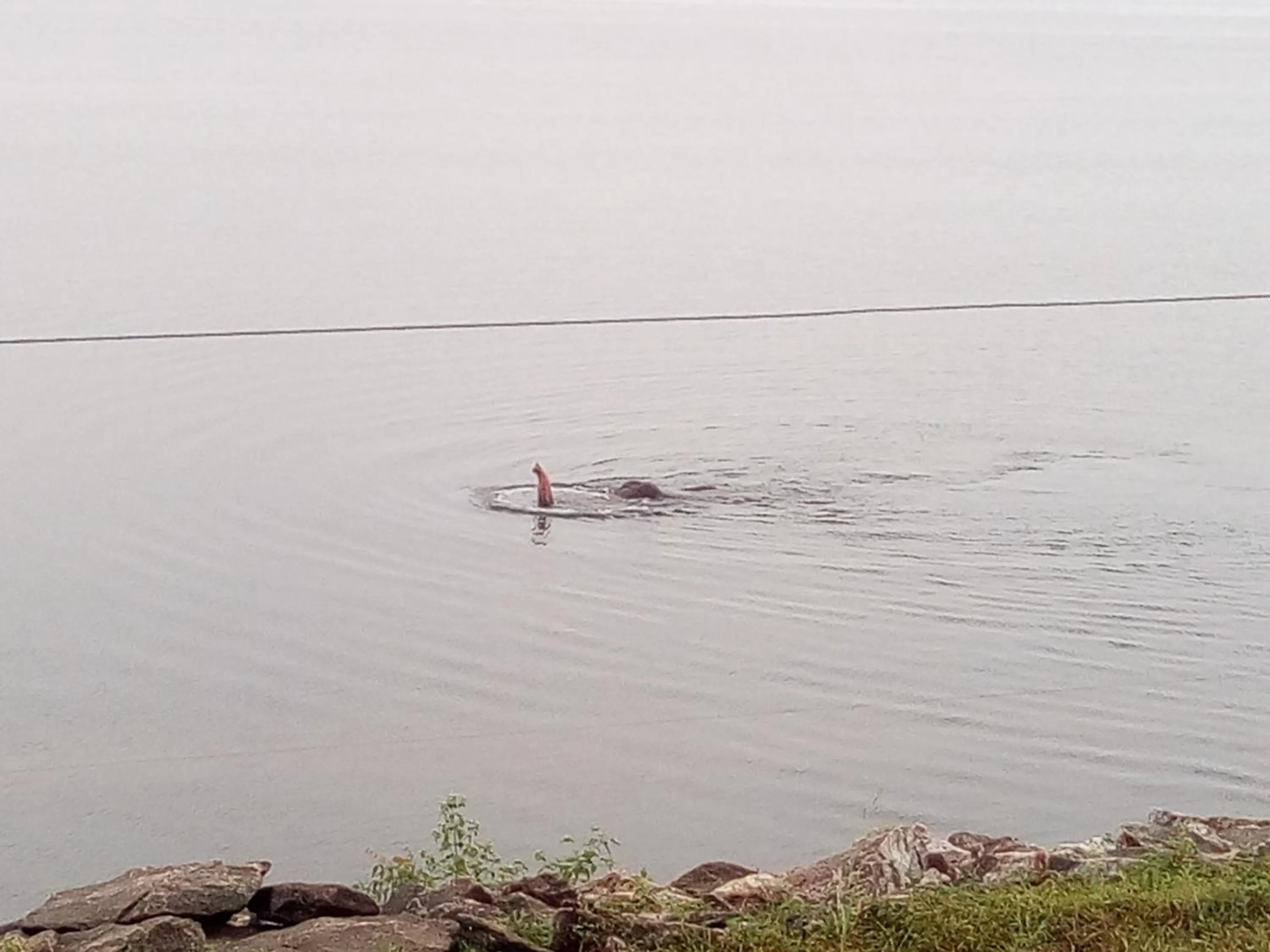 Off site in Jungle Paradise