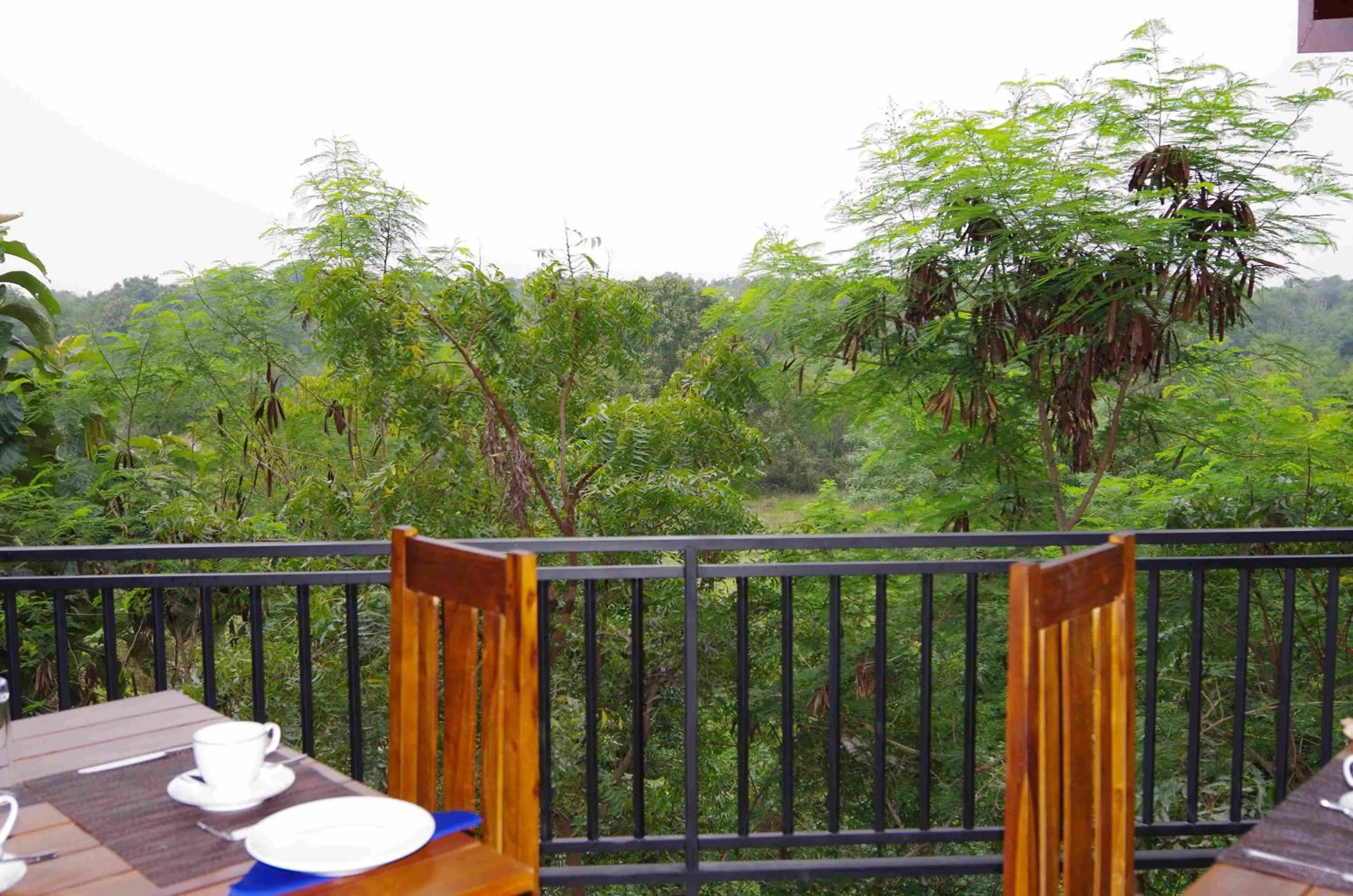 Restaurant/places to eat in Jungle Paradise