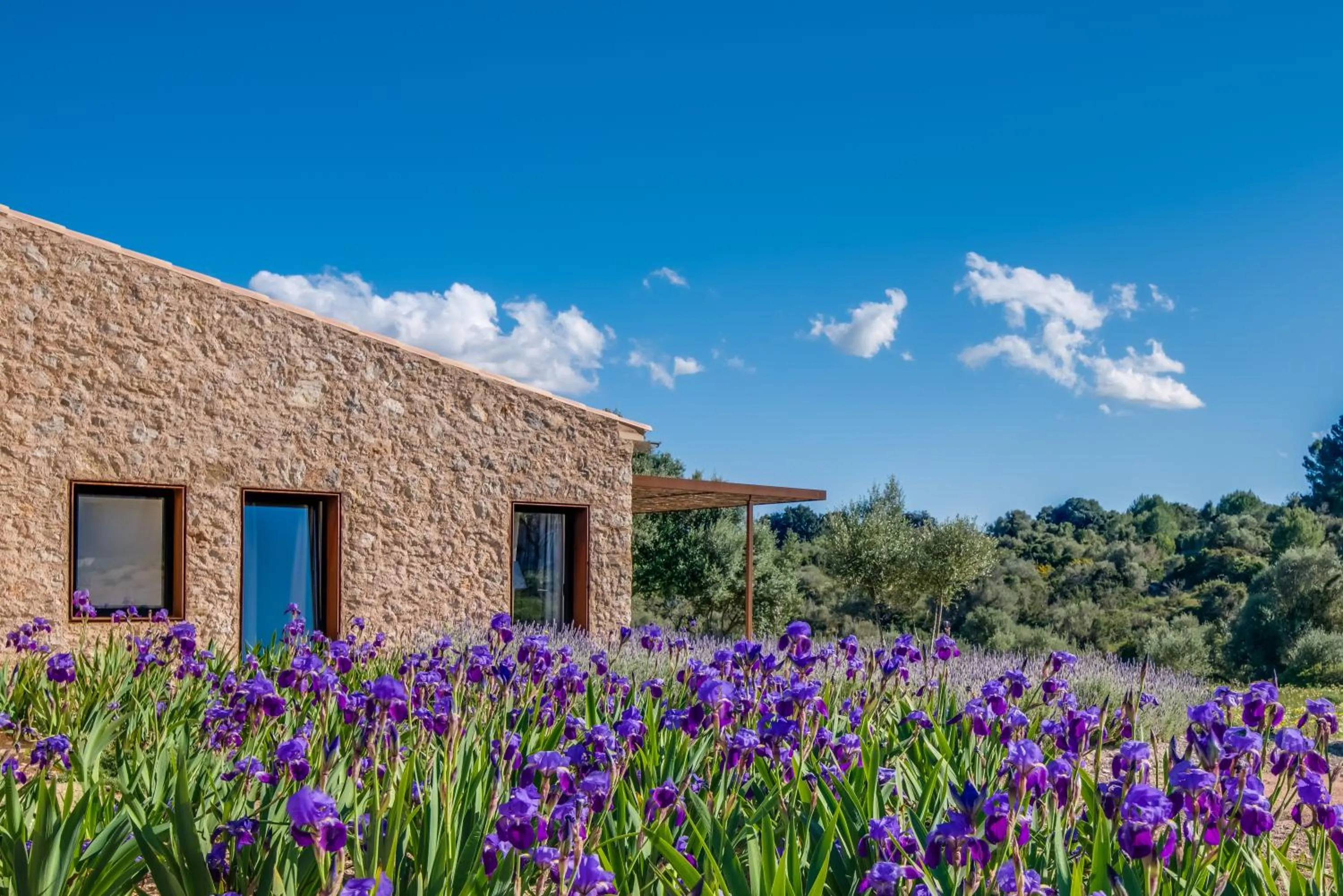 Property building in Carrossa Hotel & Spa