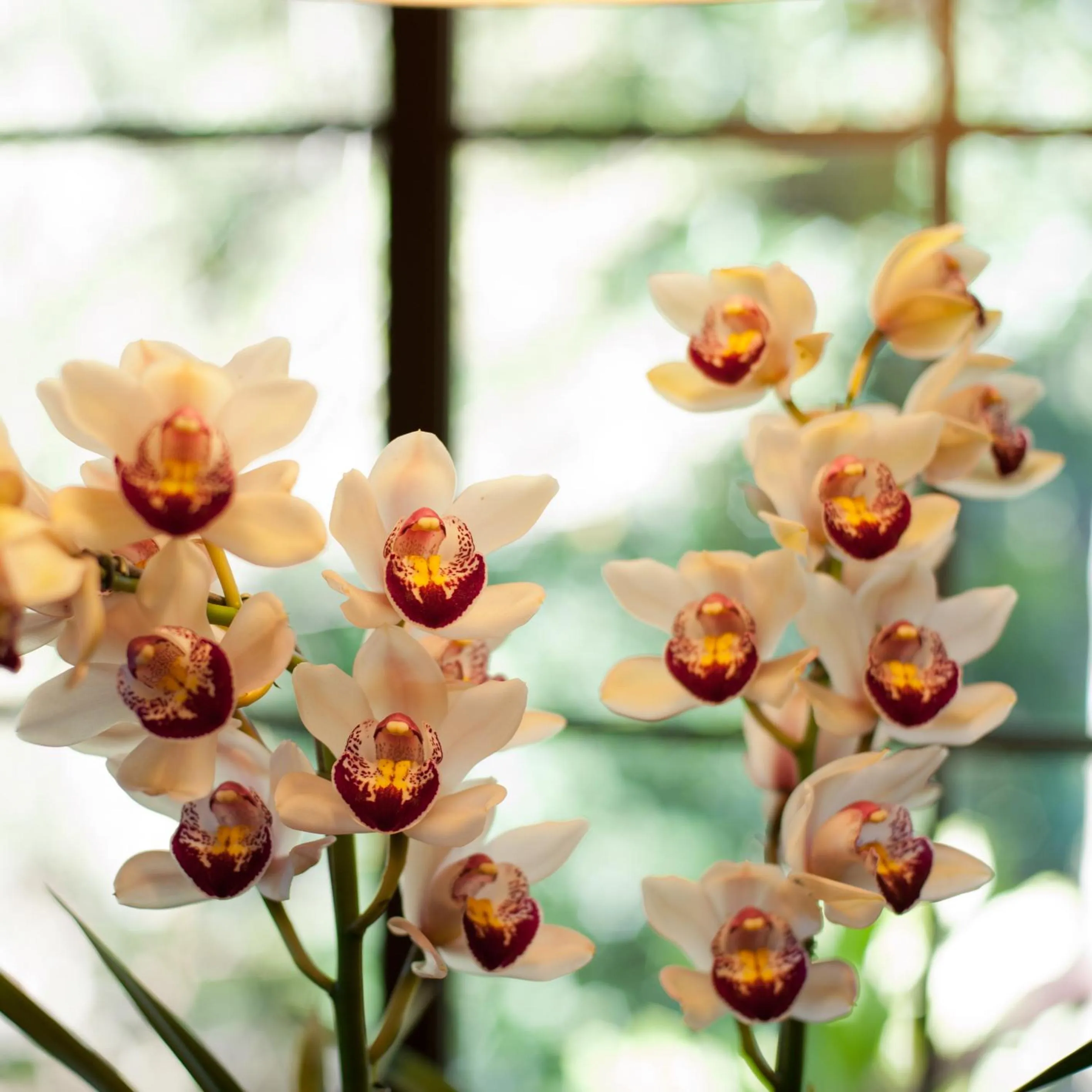 Decorative detail in Pousada Les Roches