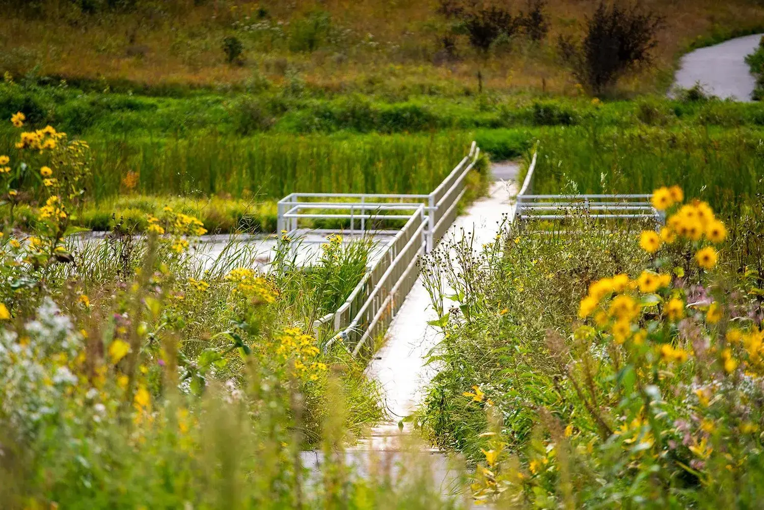 Fergus Inn Fergus Inn