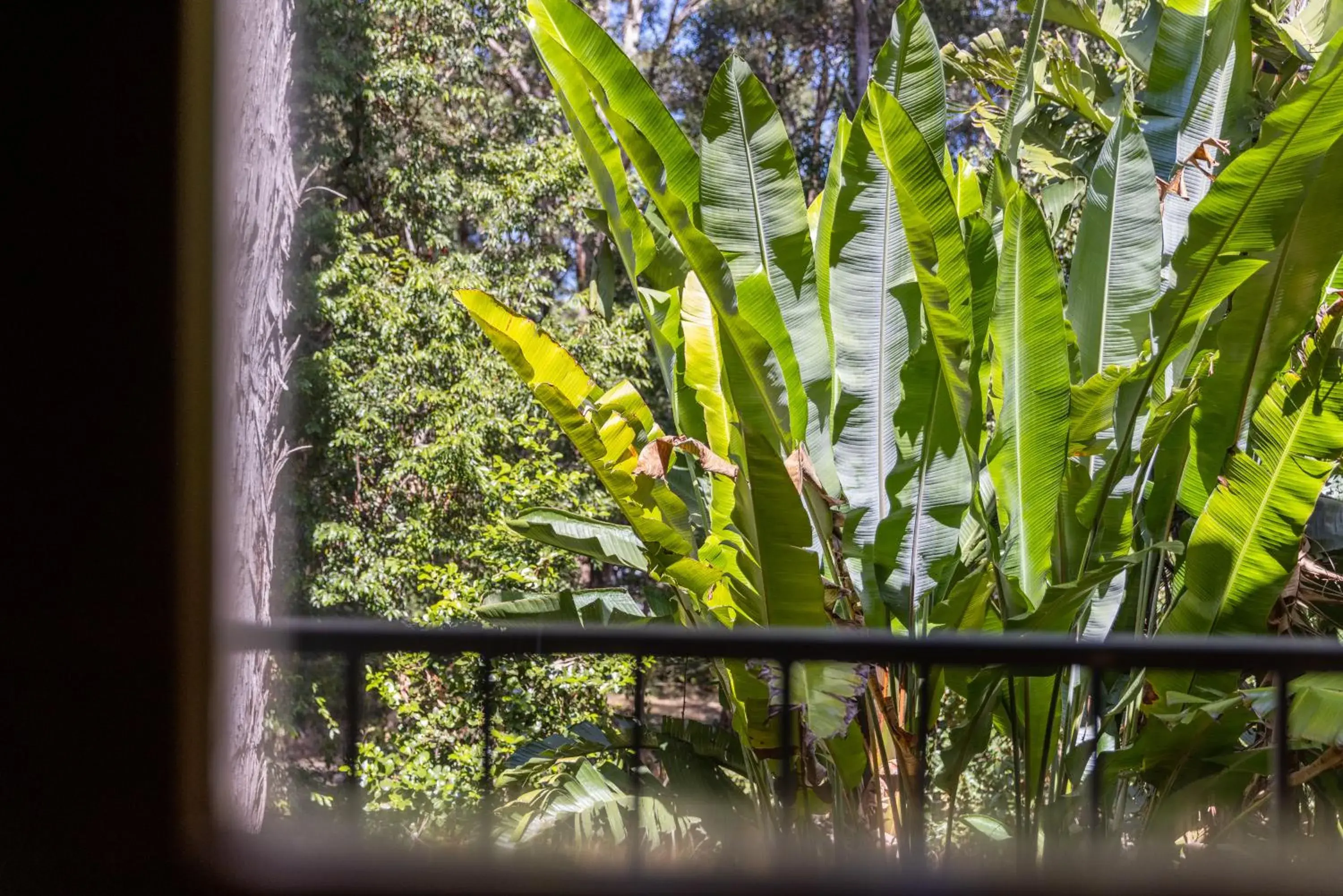 View (from property/room) in Sanctuary Resort Motor Inn View (from property/room) in Sanctuary Resort Motor Inn