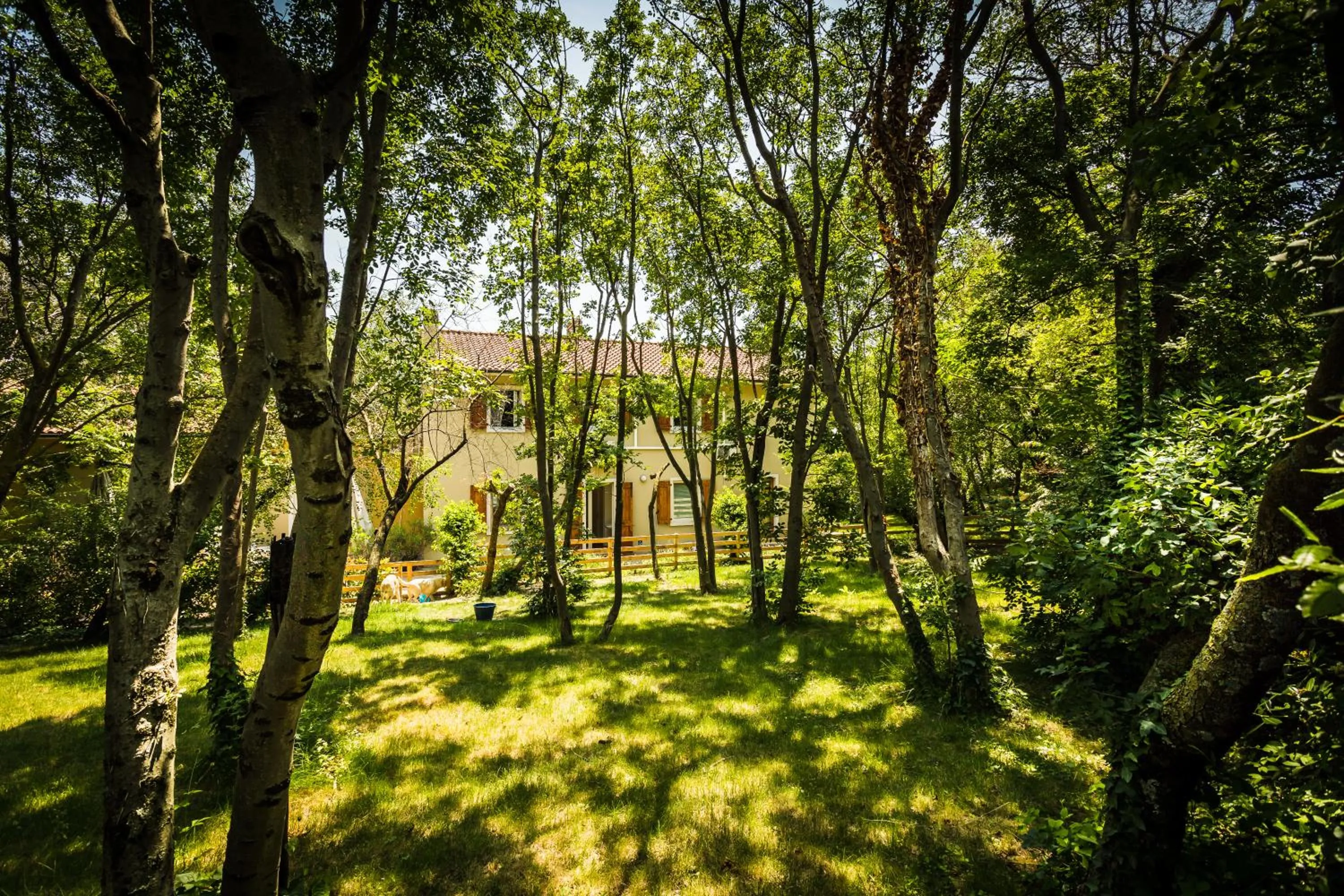 Property building in Villa Borgo Duino