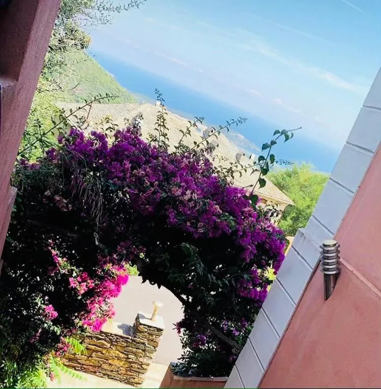 Restaurant/places to eat in U Sant'Agnellu