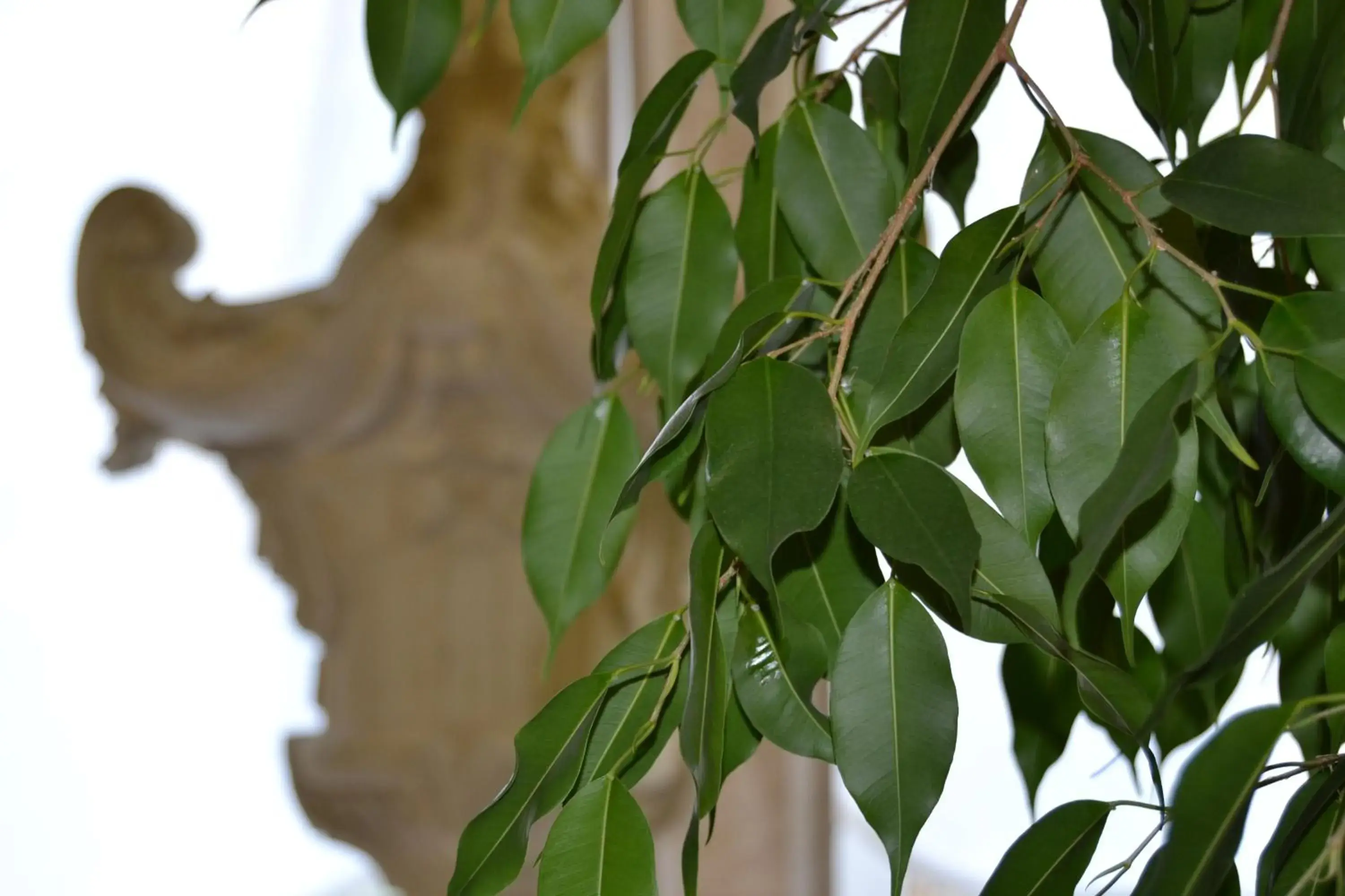 Other in Hotel Due Leoni Other in Hotel Due Leoni