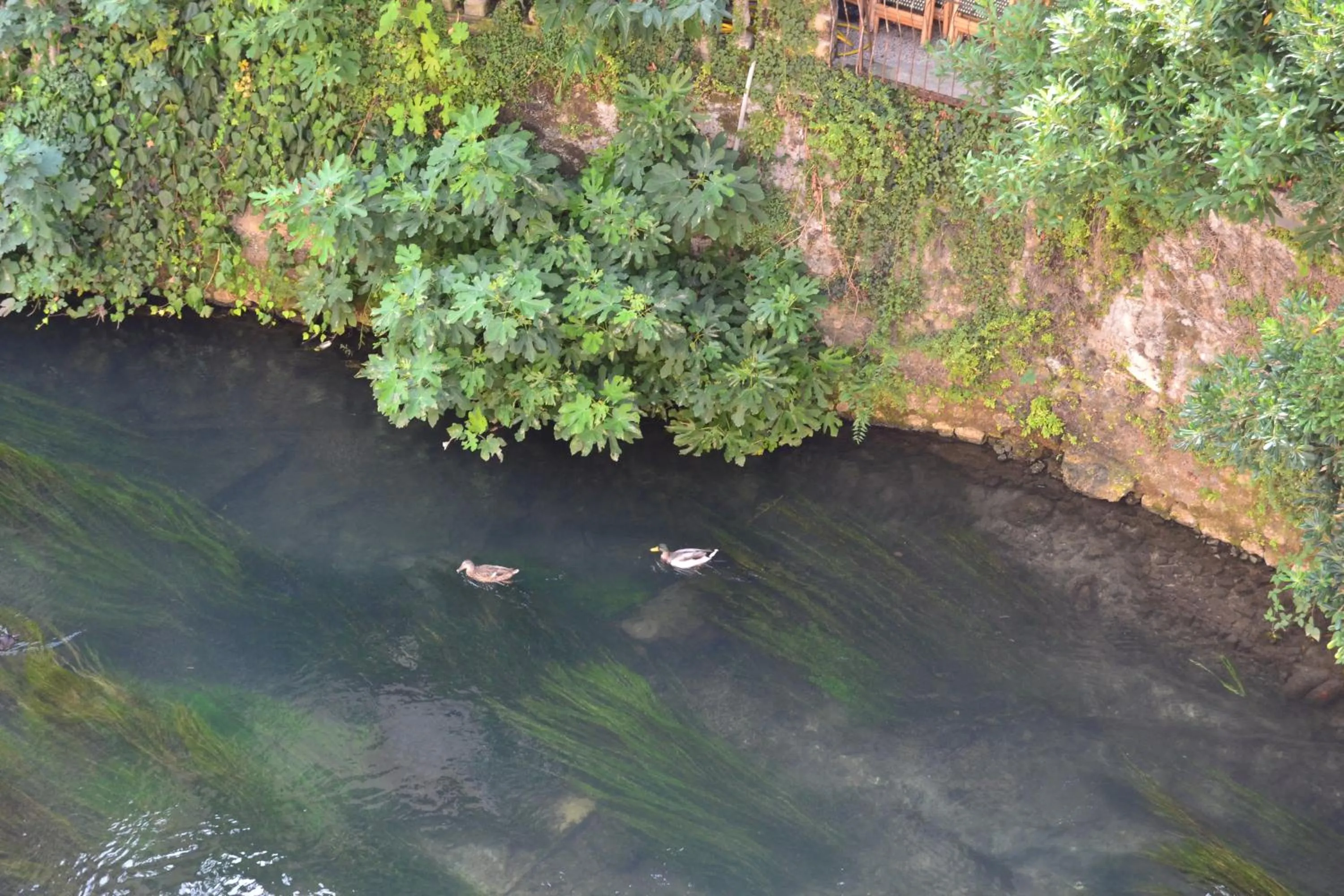 Day in Hotel Due Leoni