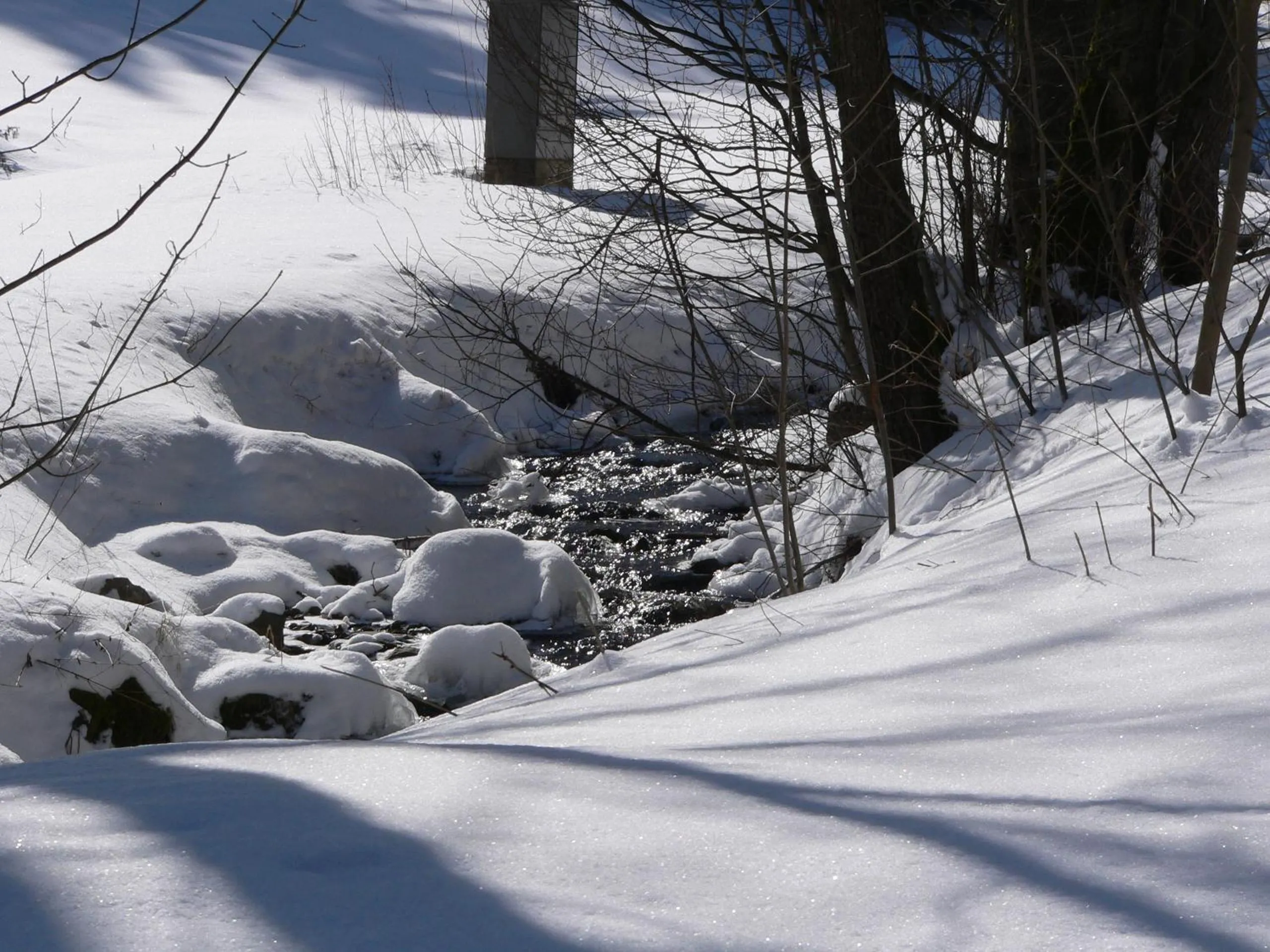 Natural landscape in Gasthaus&Pension "Grünes Herz"