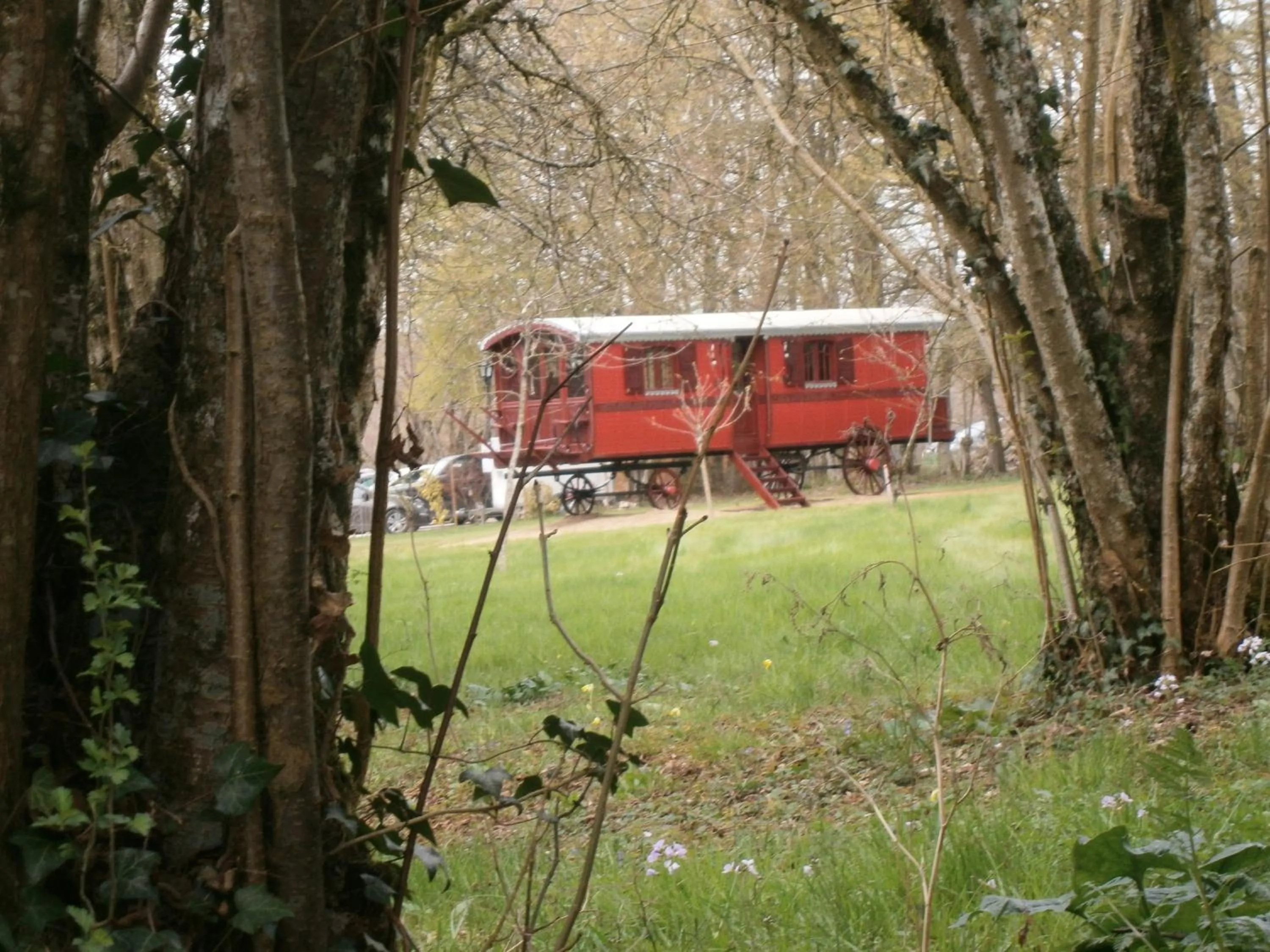 Garden in Logis La Source Bleue