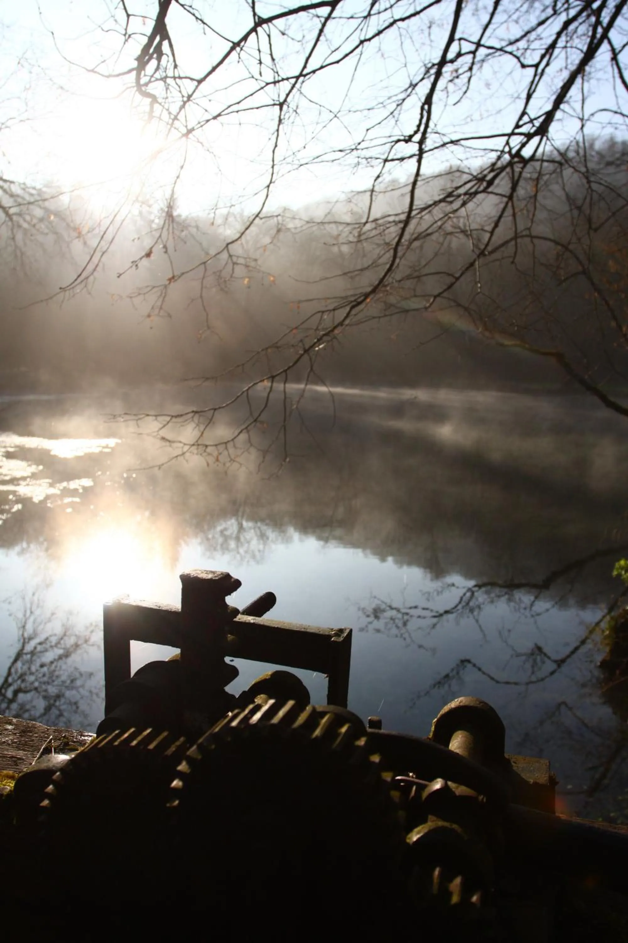 Area and facilities in Logis La Source Bleue