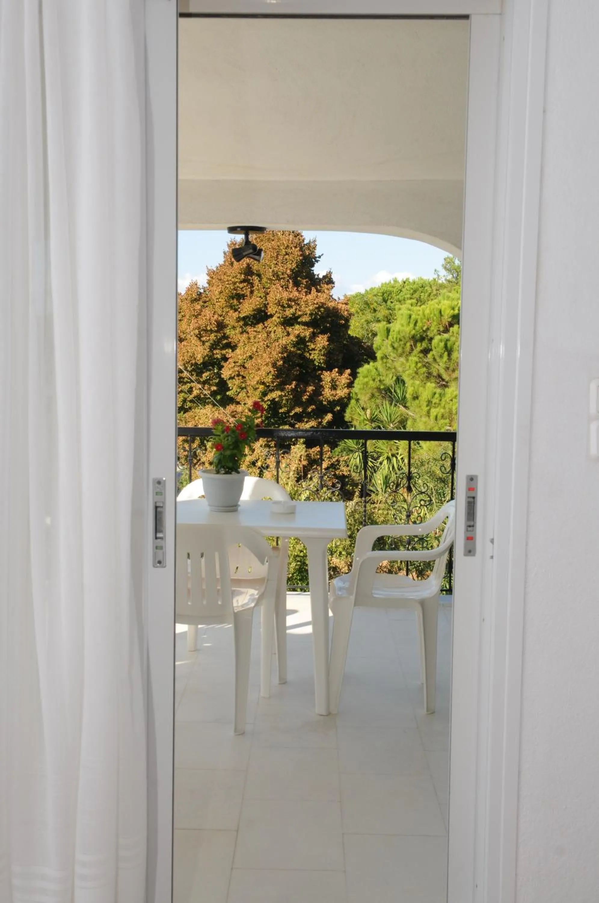 Balcony/Terrace in Pegasus Hotel