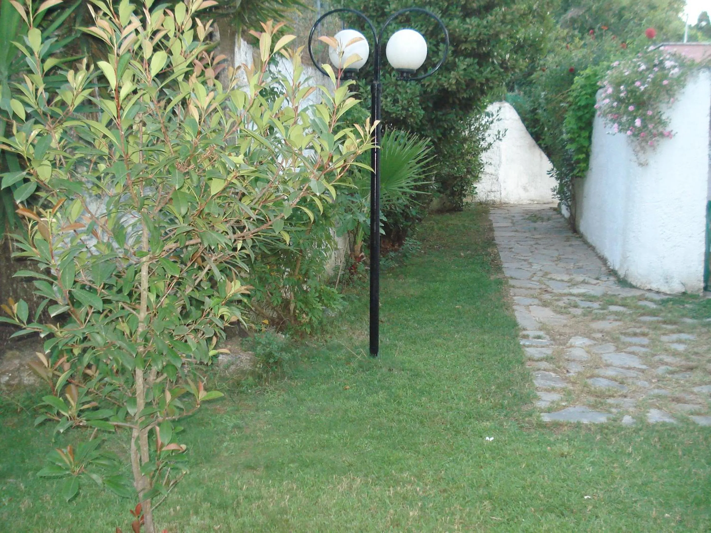 Villa Avra