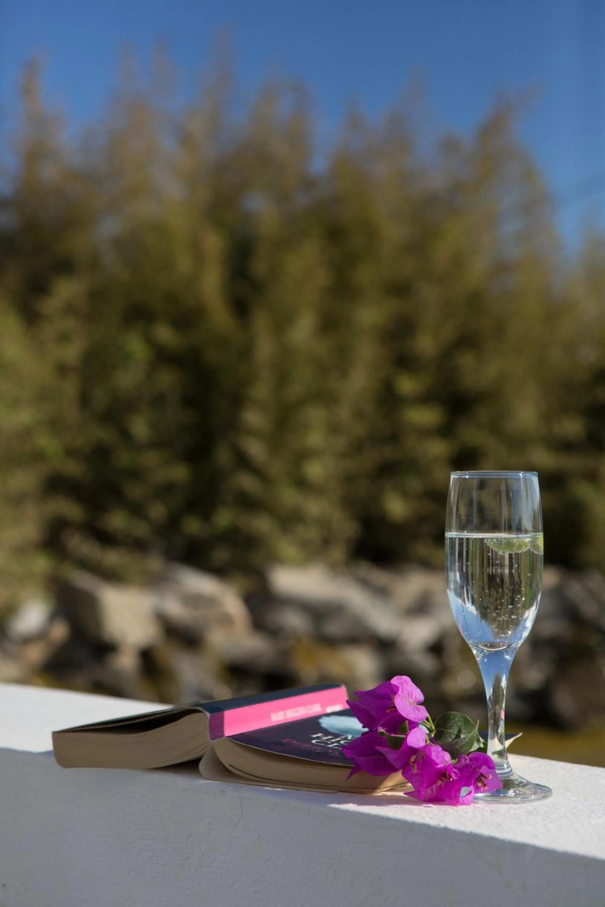 Garden view in Plaza Beach Hotel