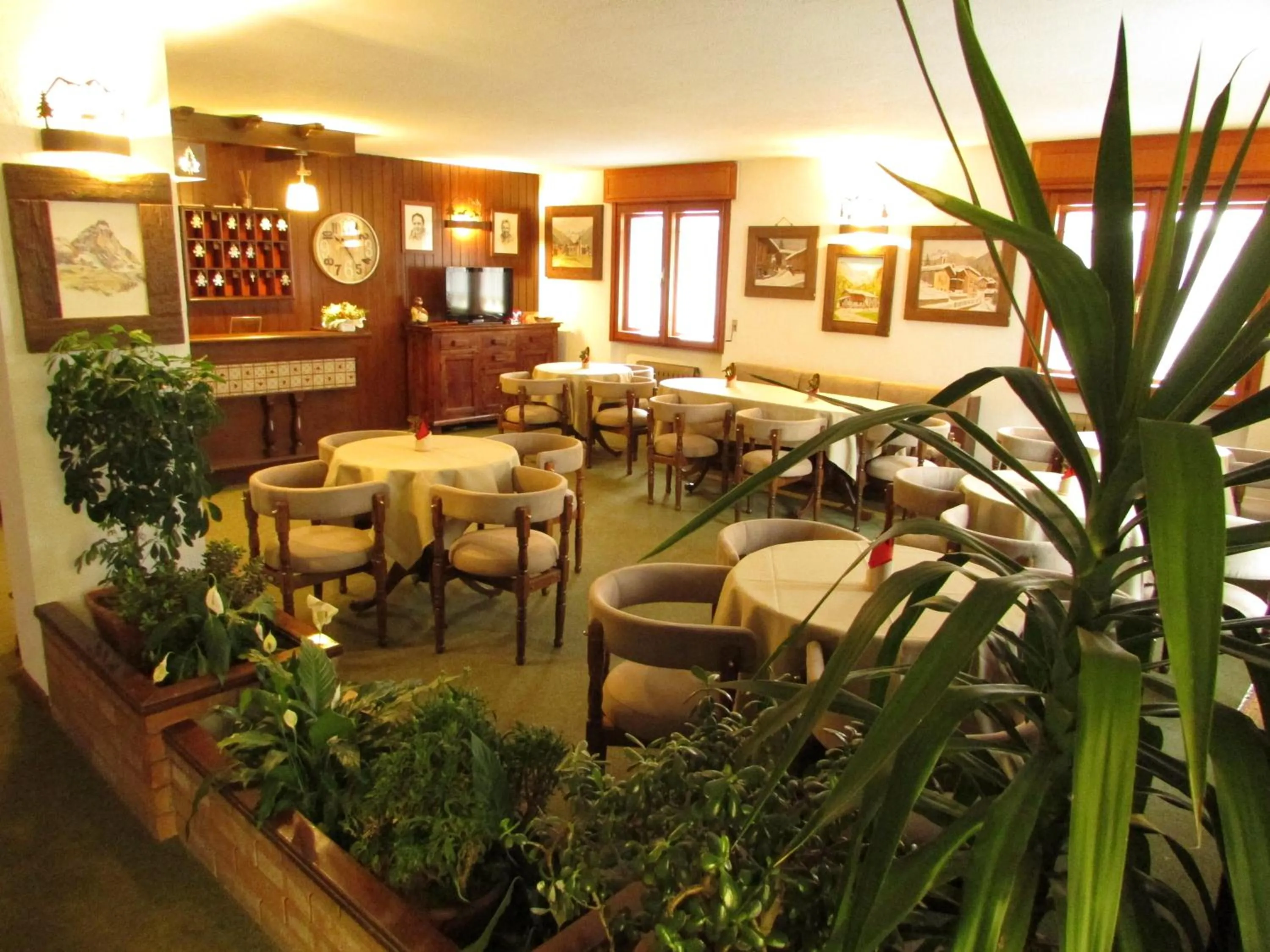 Hotel Meublè Meridiana