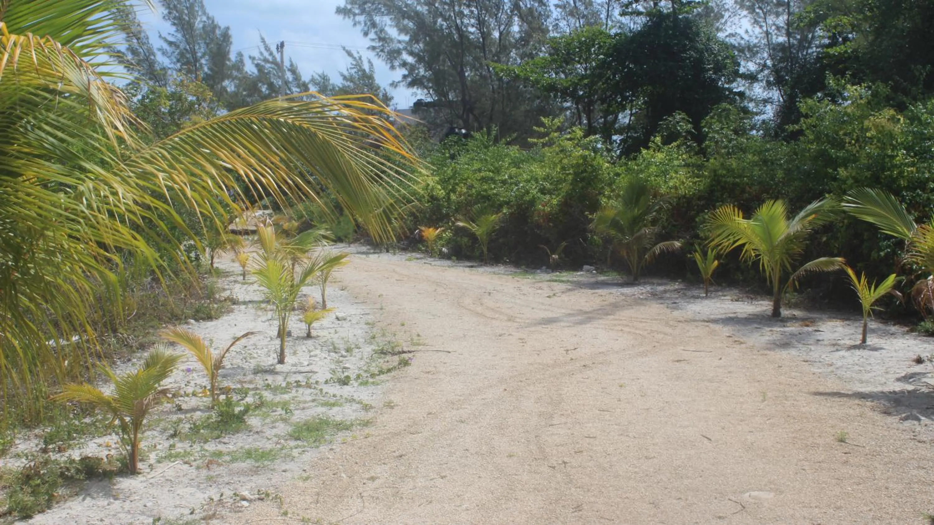 Property building in Sea by C Apartments