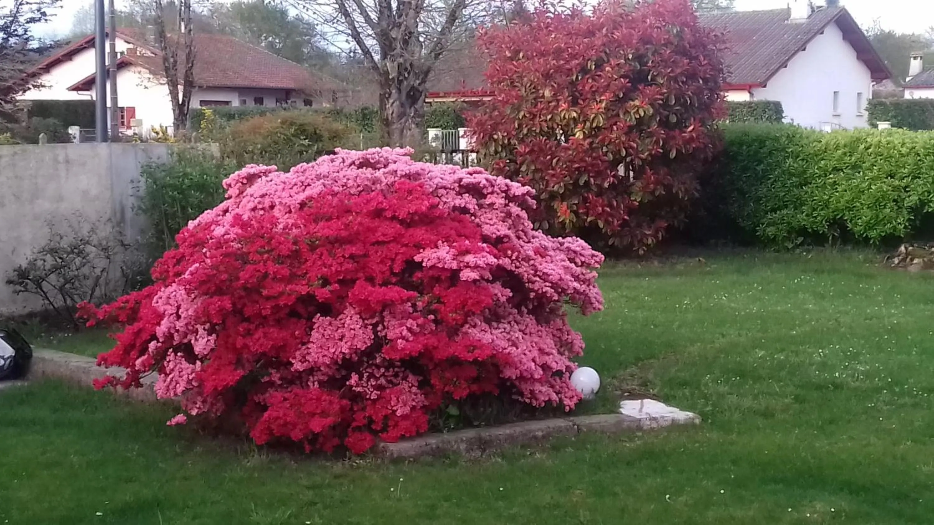 Garden in La clé de vos Rêves