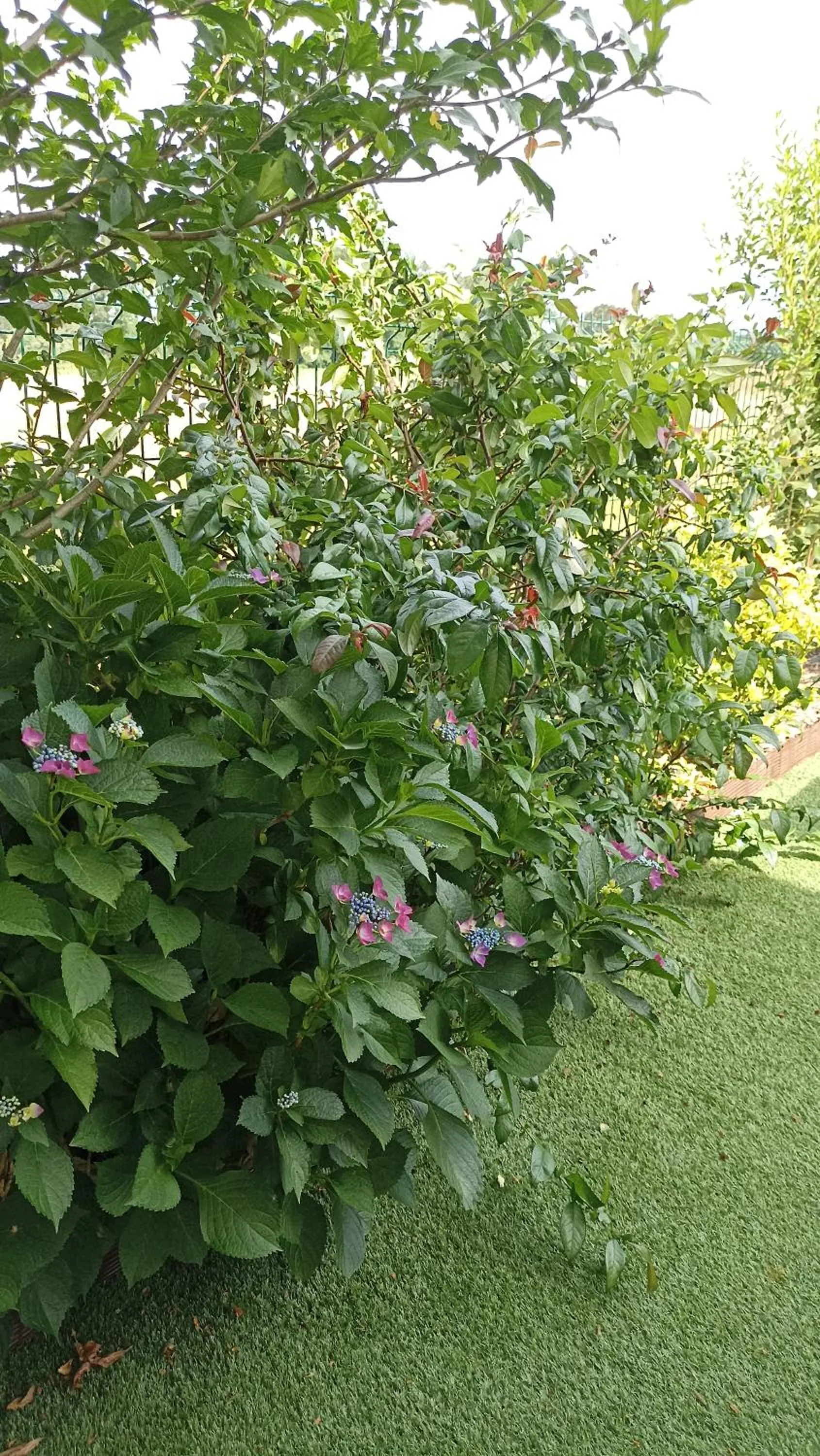 Spring in La clé de vos Rêves