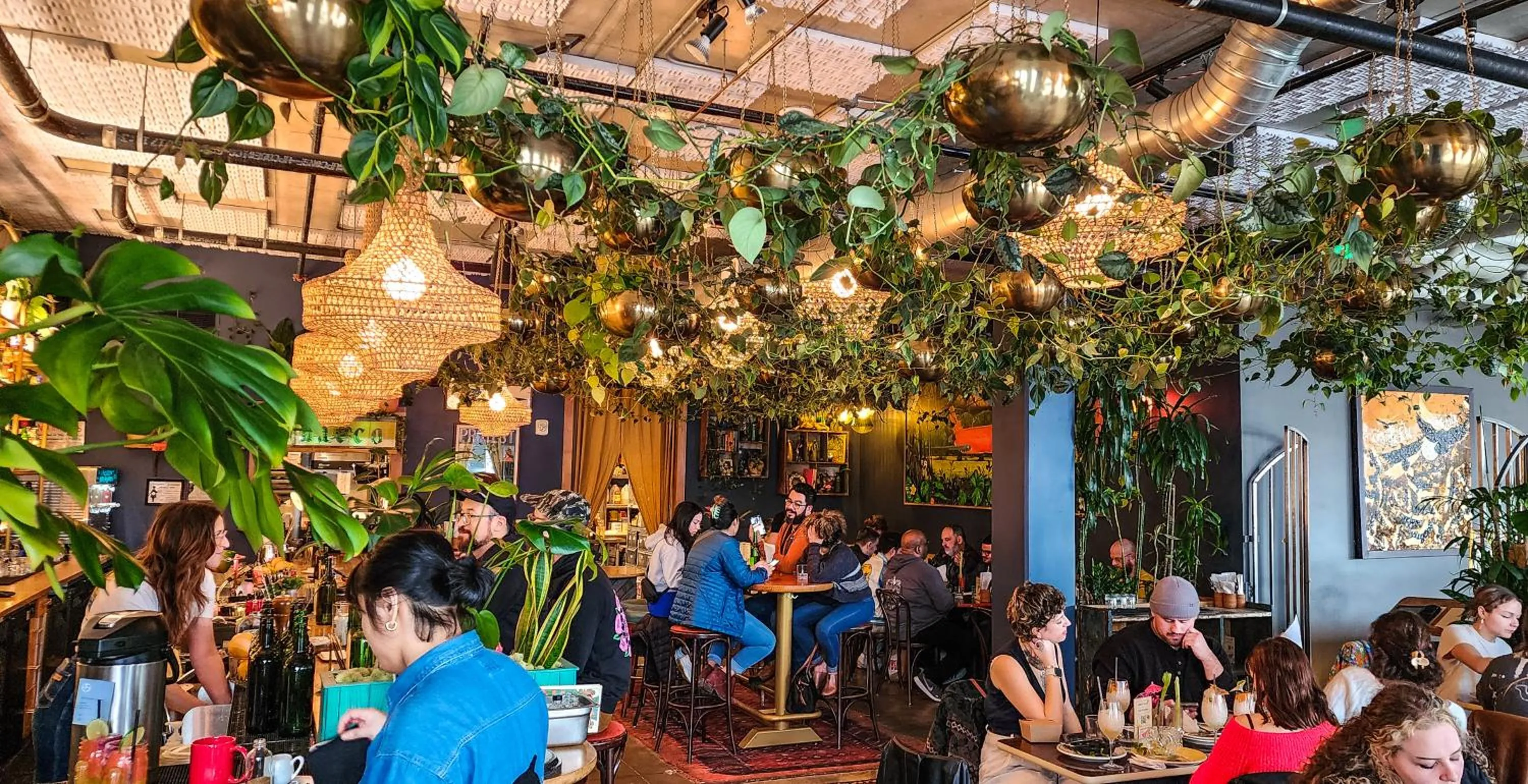 Restaurant/places to eat in Jupiter NEXT