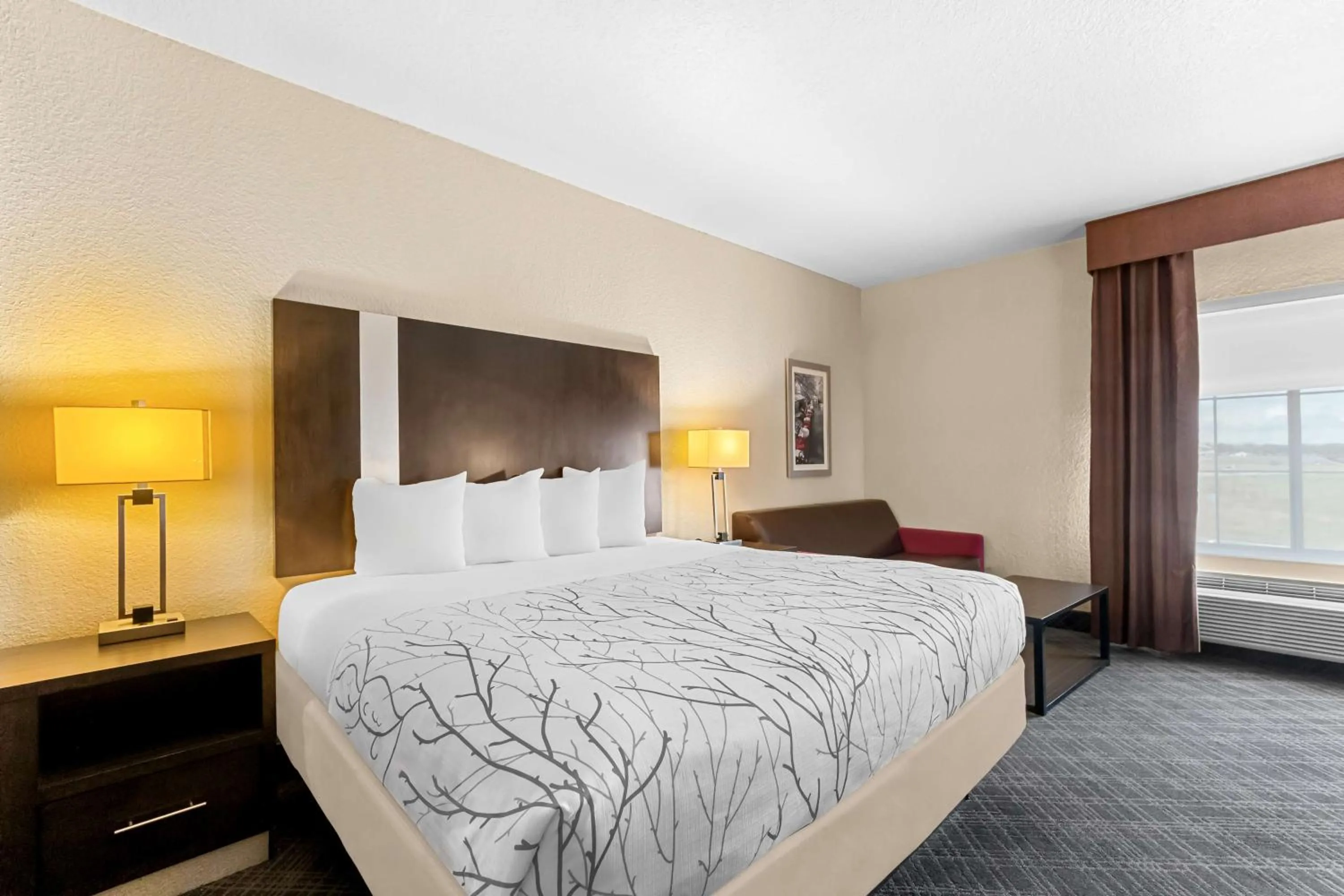 Bedroom, Bed in Best Western Boerne Inn & Suites