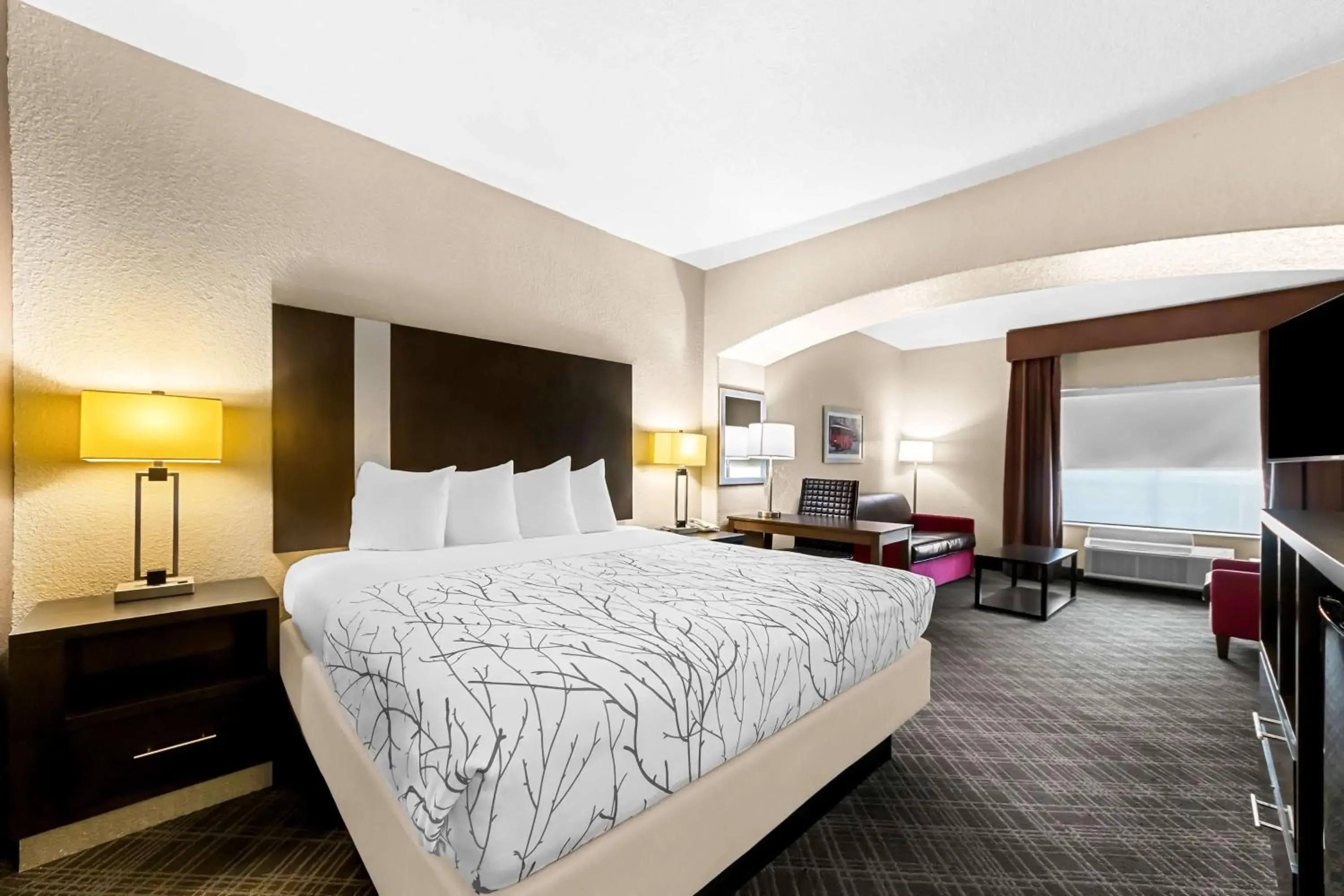 Photo of the whole room, Bed in Best Western Boerne Inn & Suites Photo of the whole room, Bed in Best Western Boerne Inn & Suites