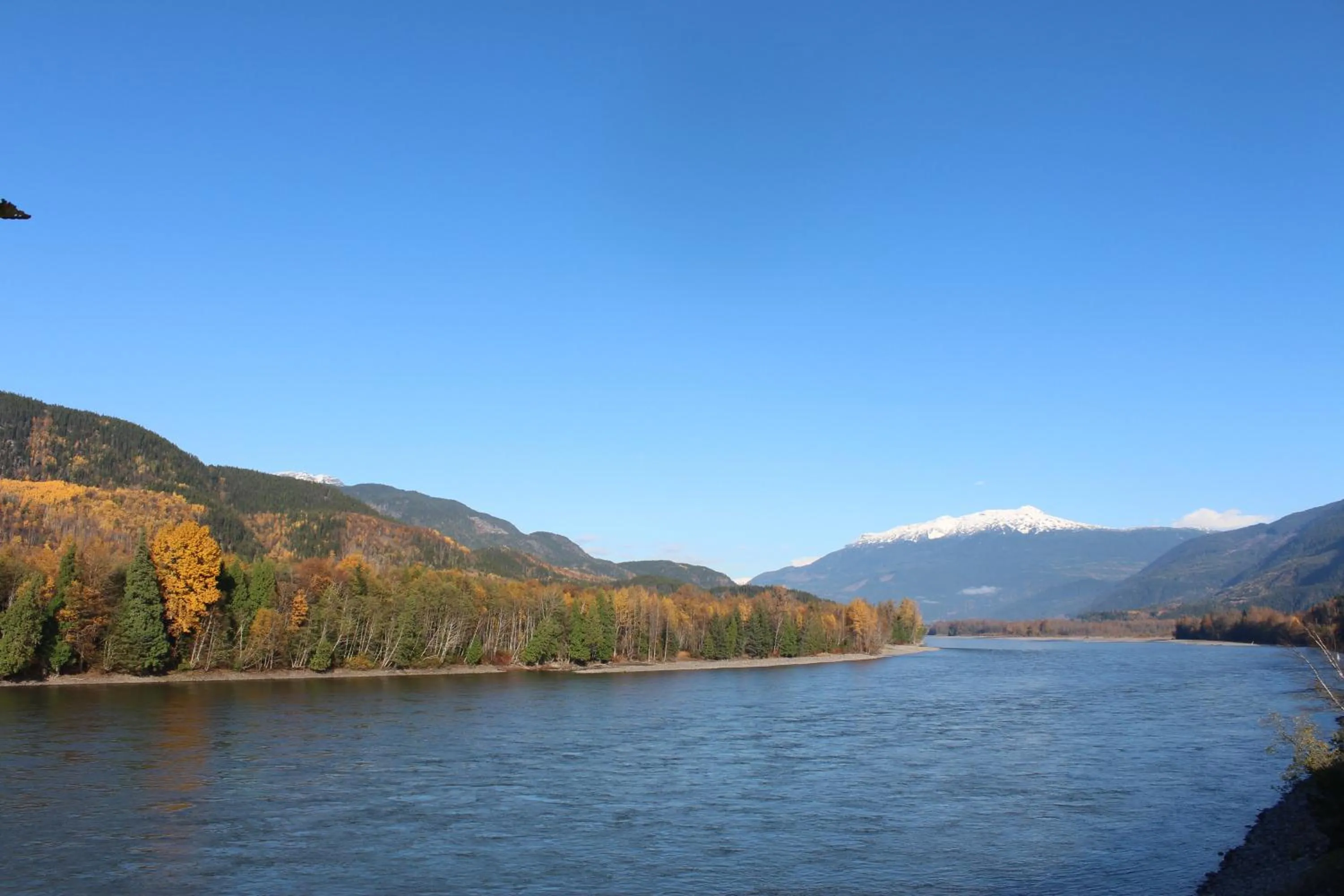 River view in Copper River Motel