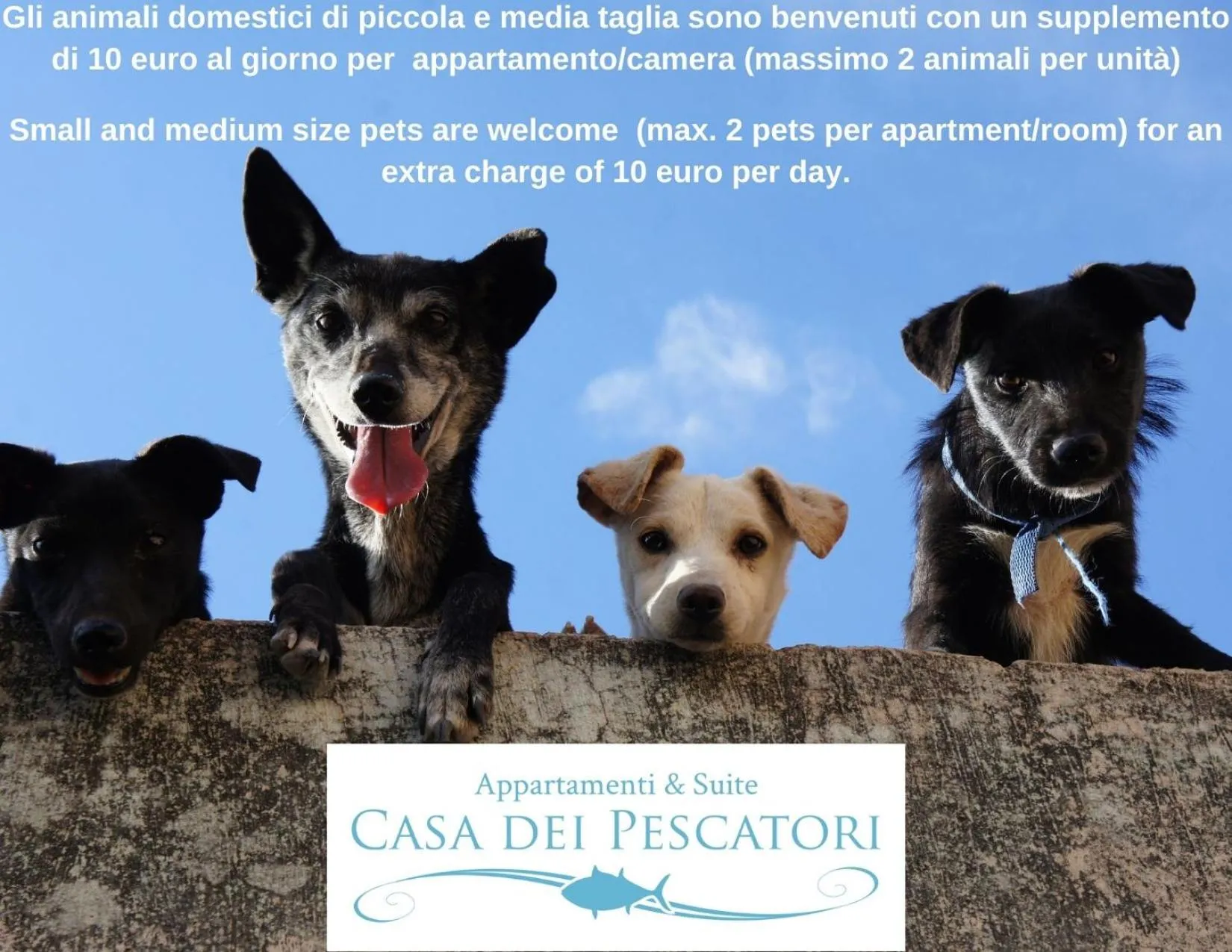 Pets in Casa dei Pescatori