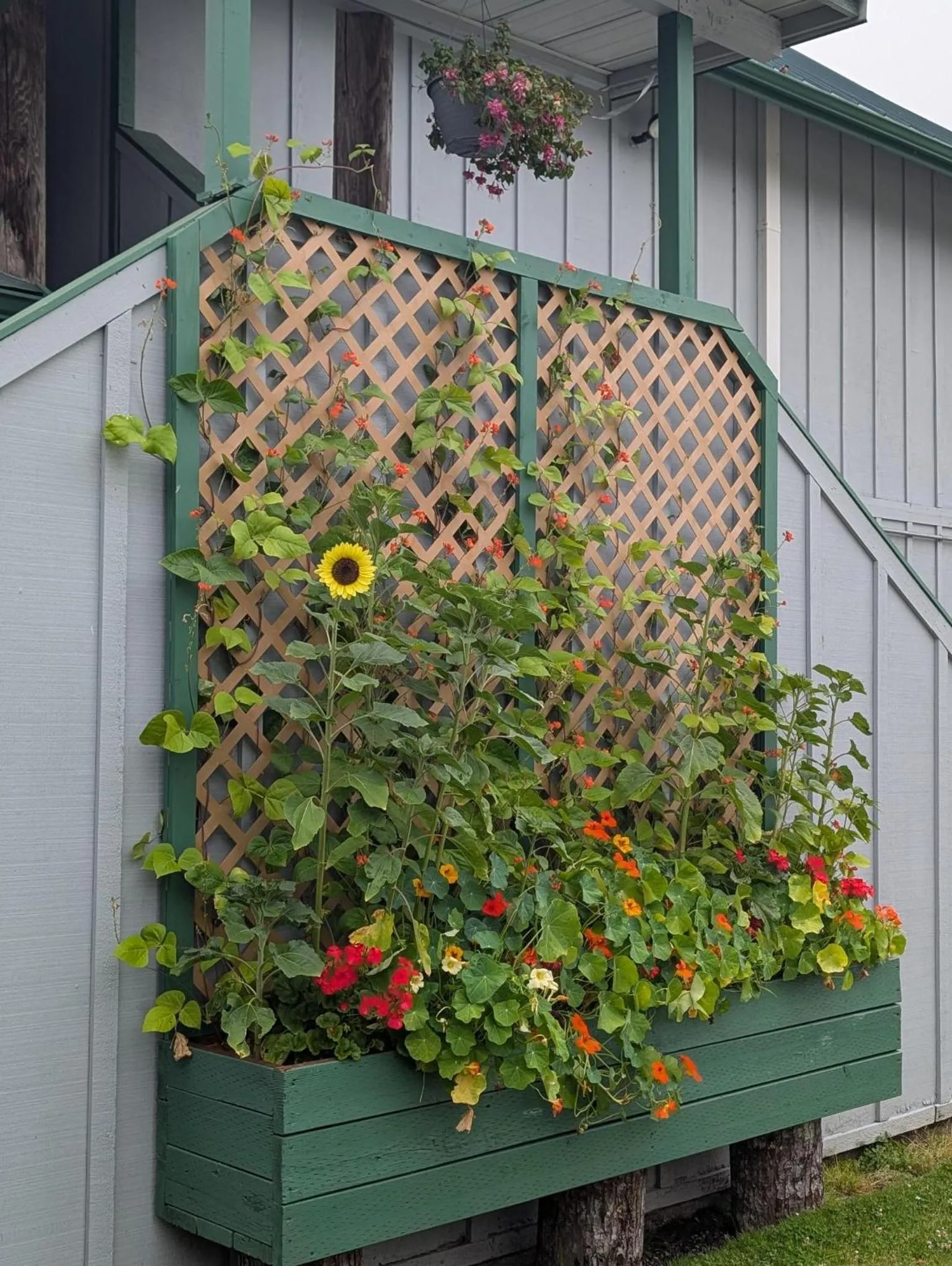 The Waterfront at Potlatch