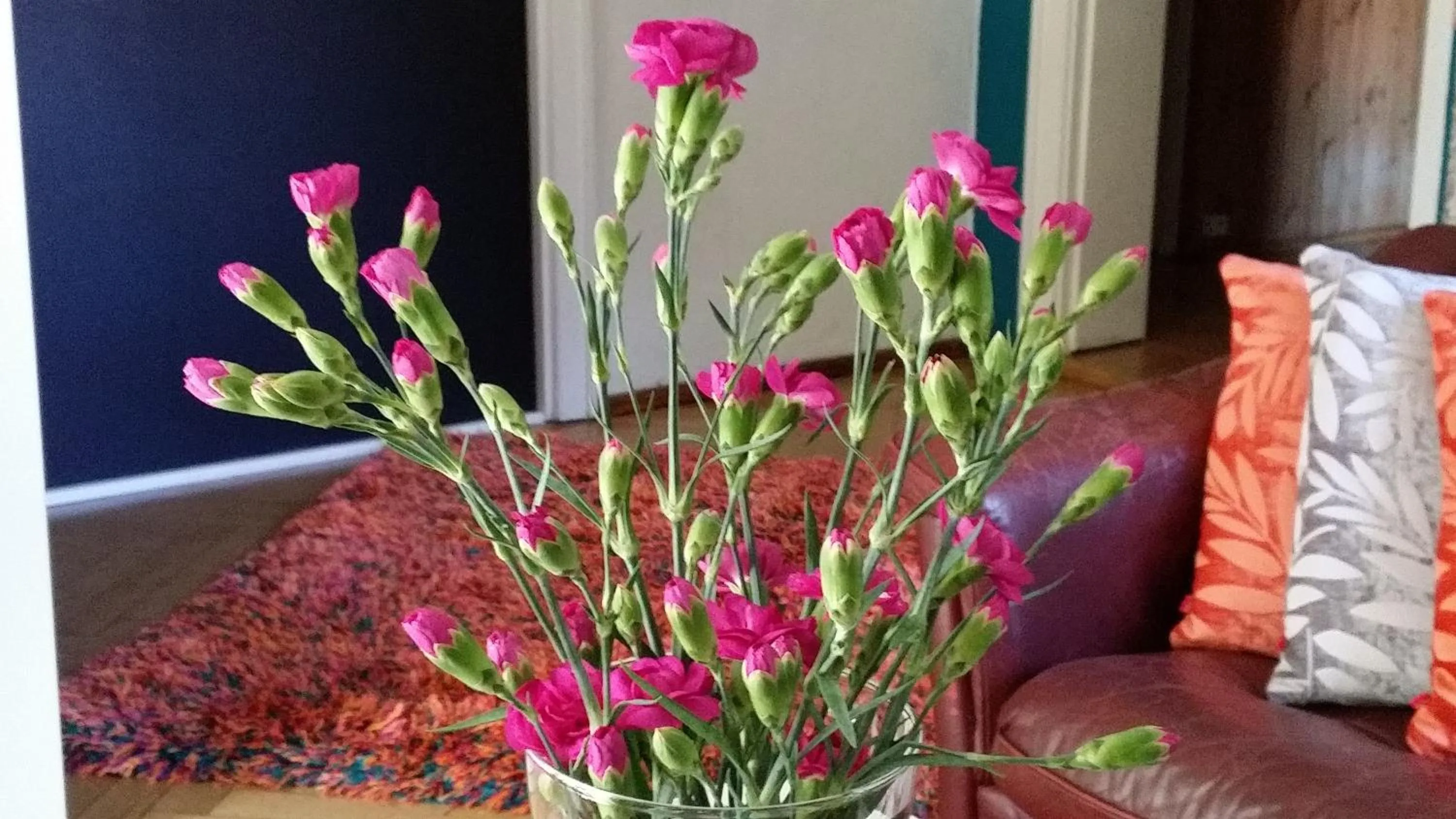 Decorative detail in Hostelino