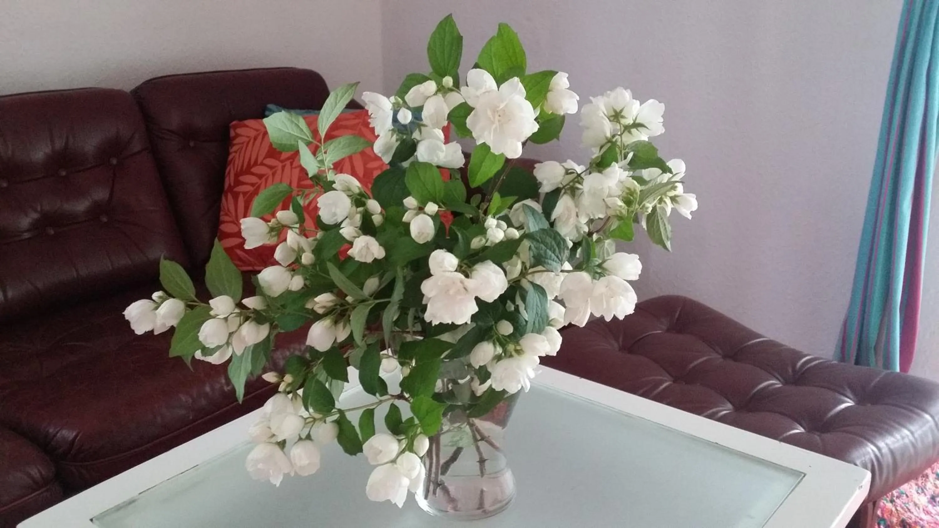 Decorative detail in Hostelino