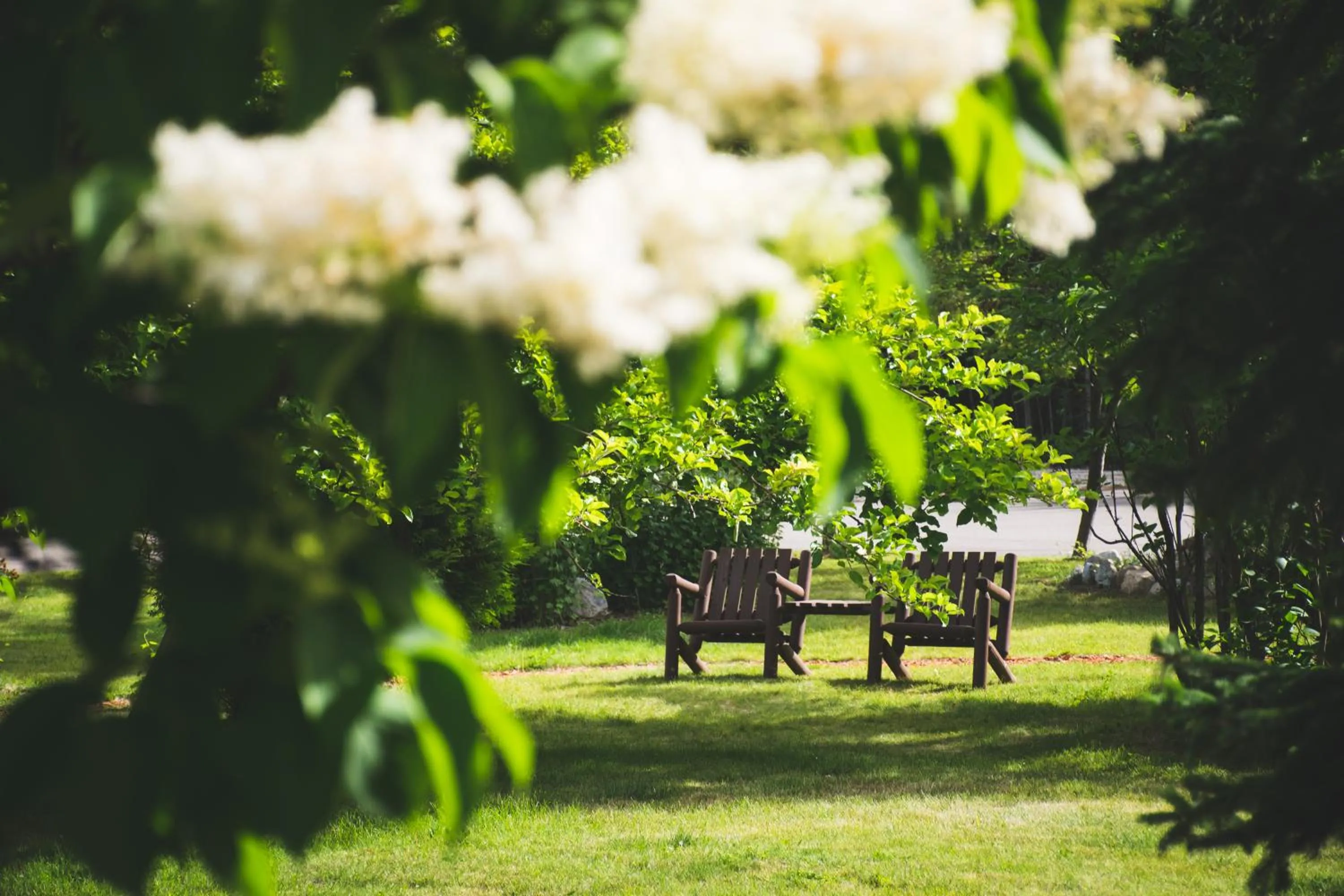 Summer in Whitewater Lodge