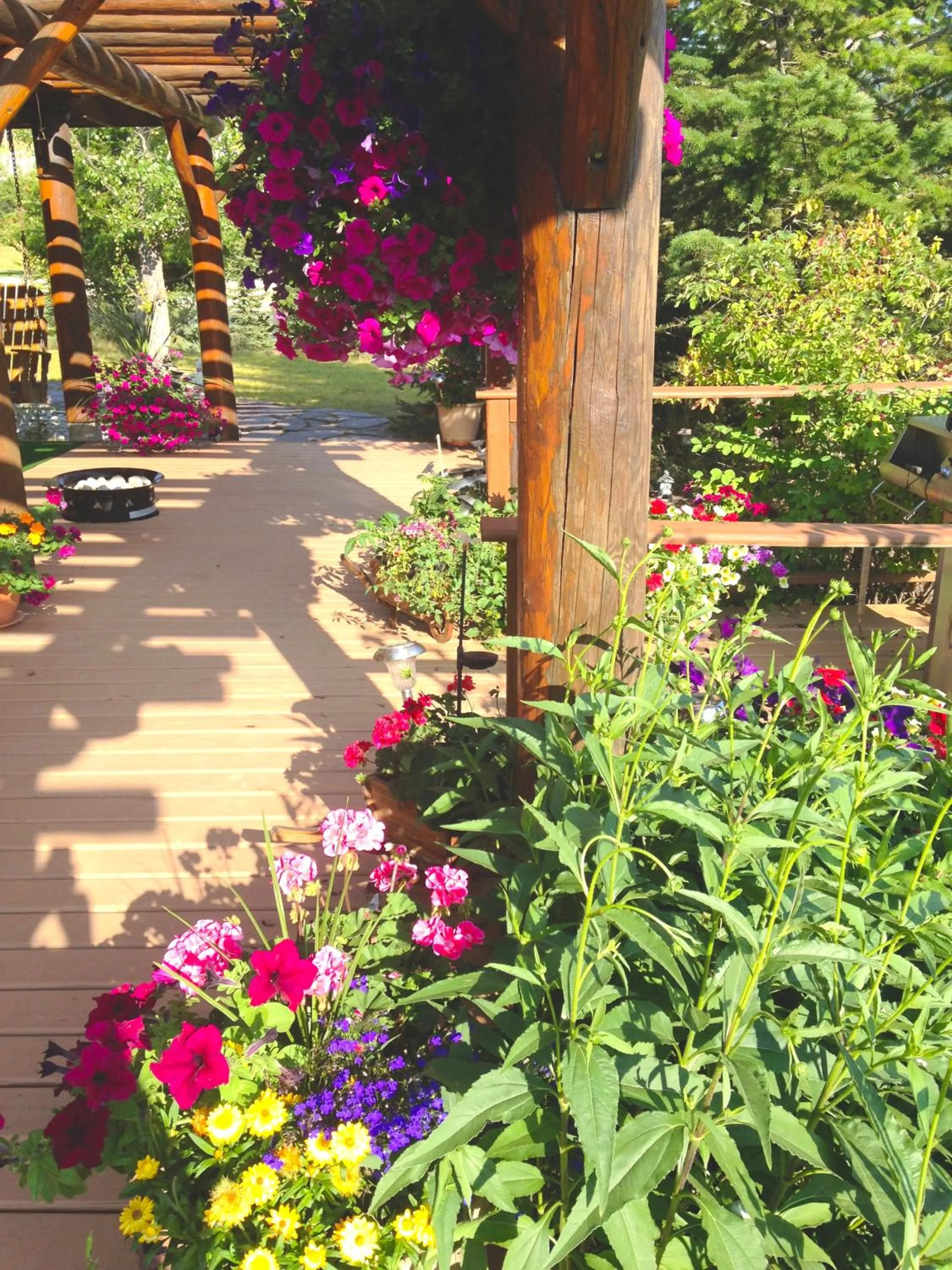 Garden view in Whitewater Lodge
