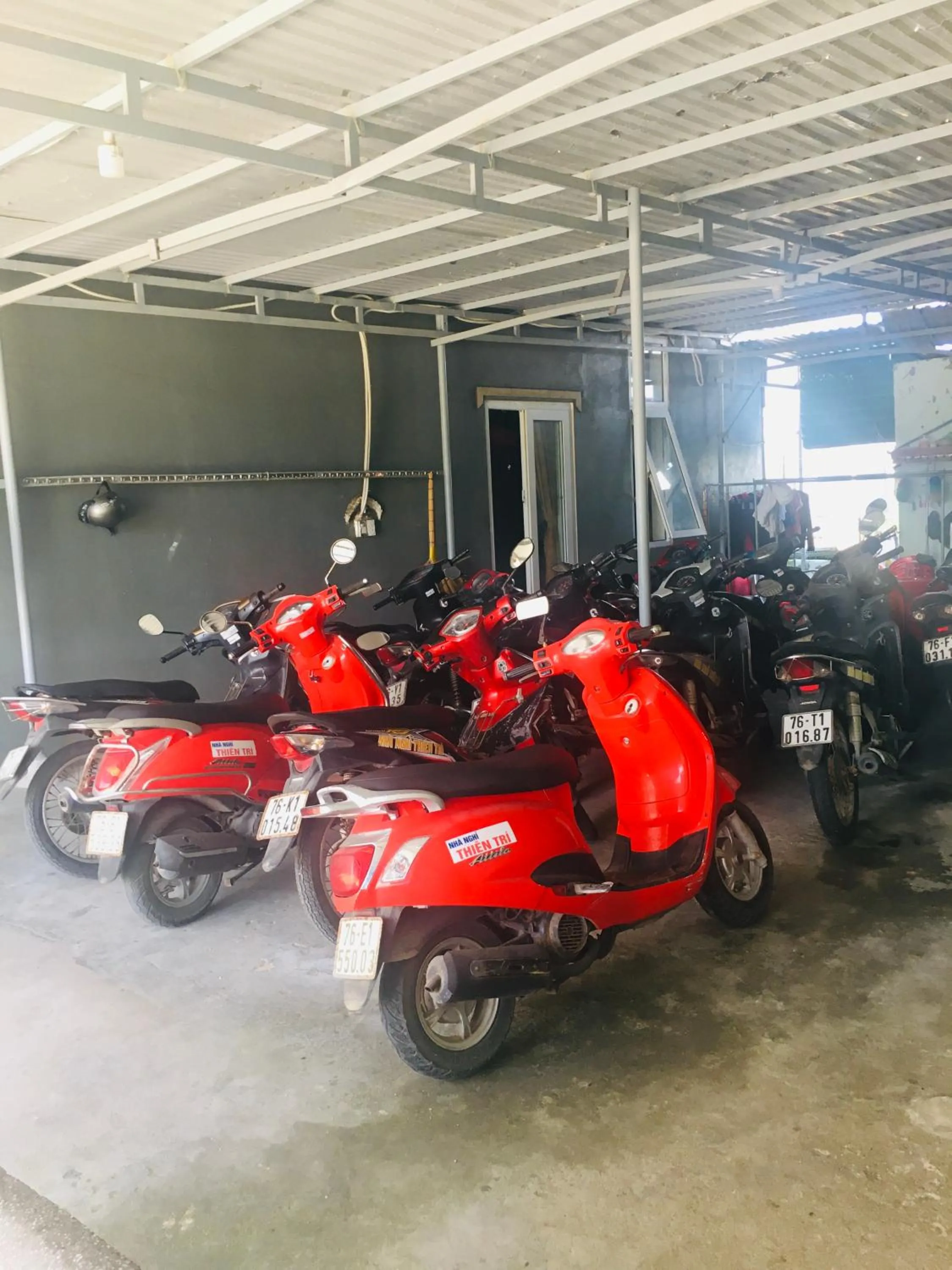 Activities in Khách Sạn Thiên Trí Lý Sơn