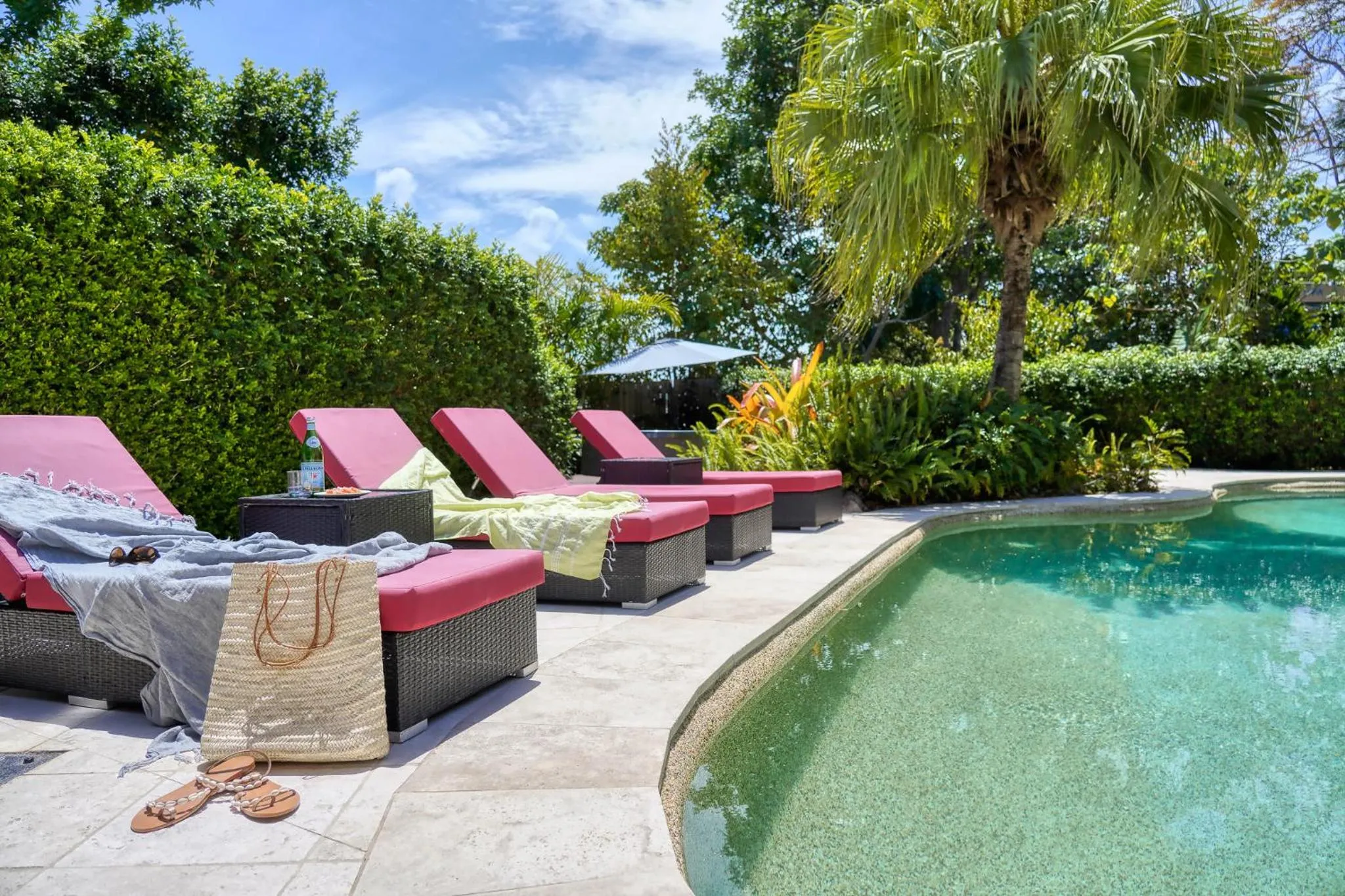 Garden in Hidden Oasis - Peregian Beach